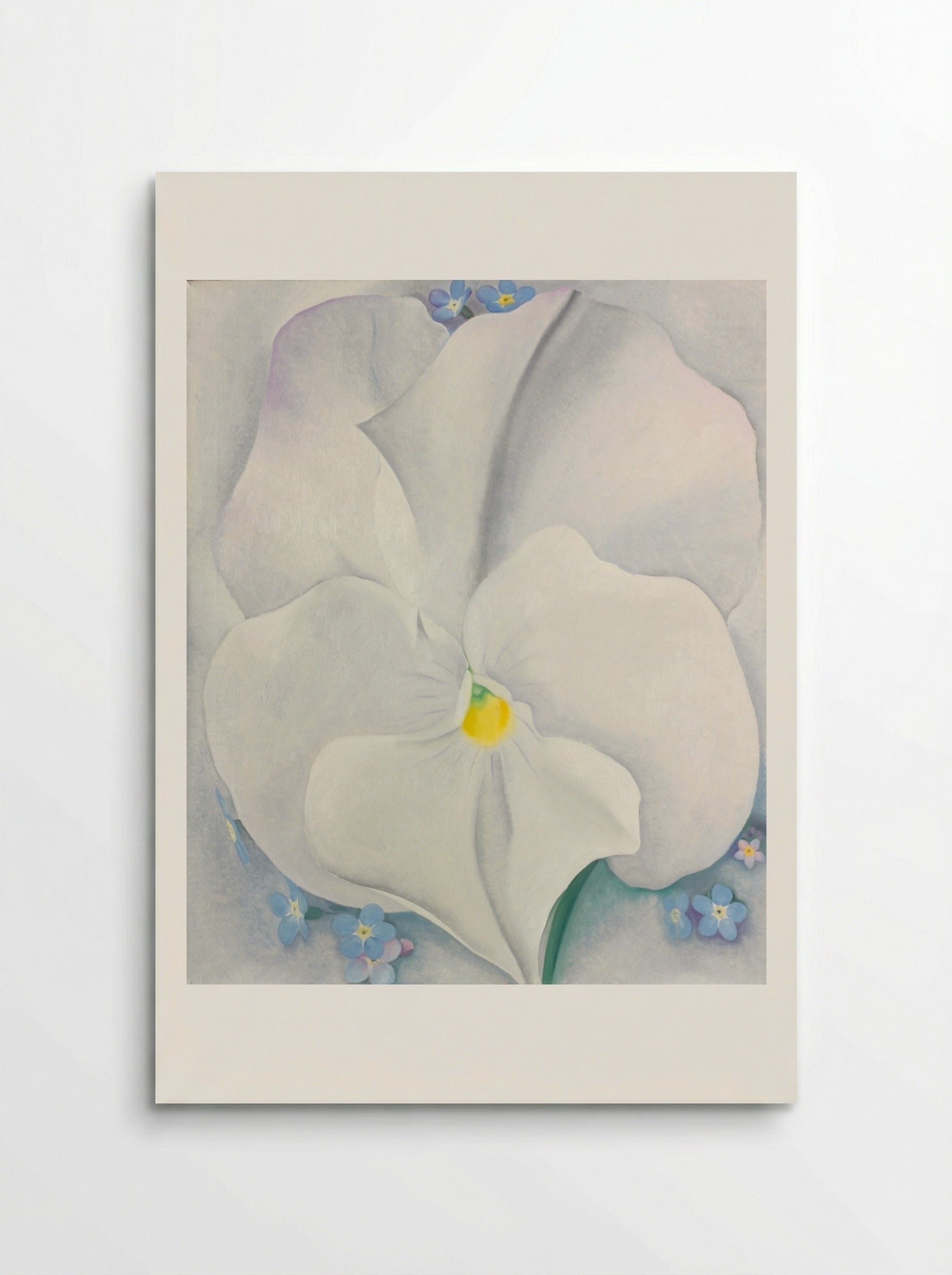 White Pansy - Georgia O'Keeffe - Poster