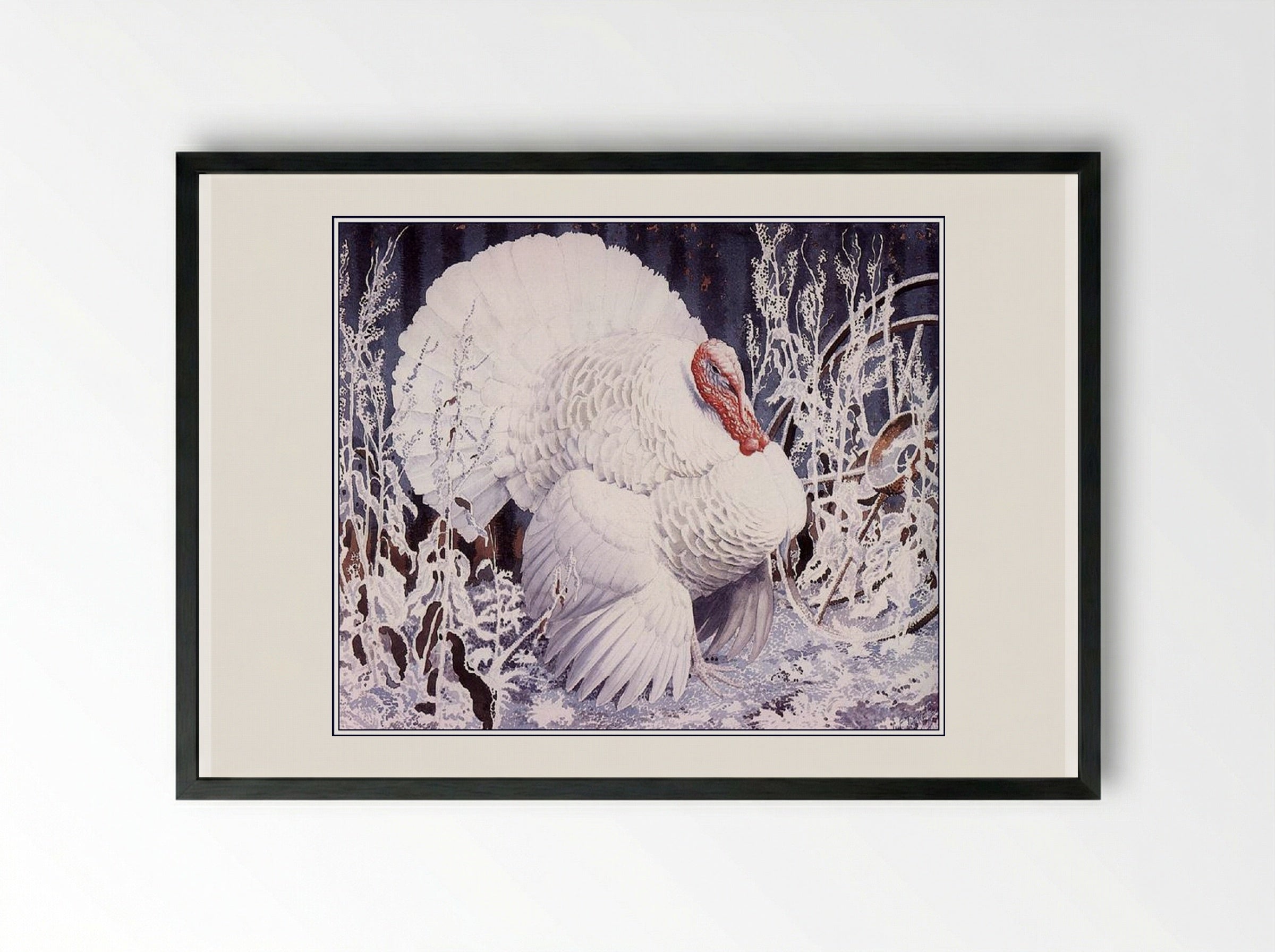 White Turkey - Charles Tunnicliffe - Framed Print Black