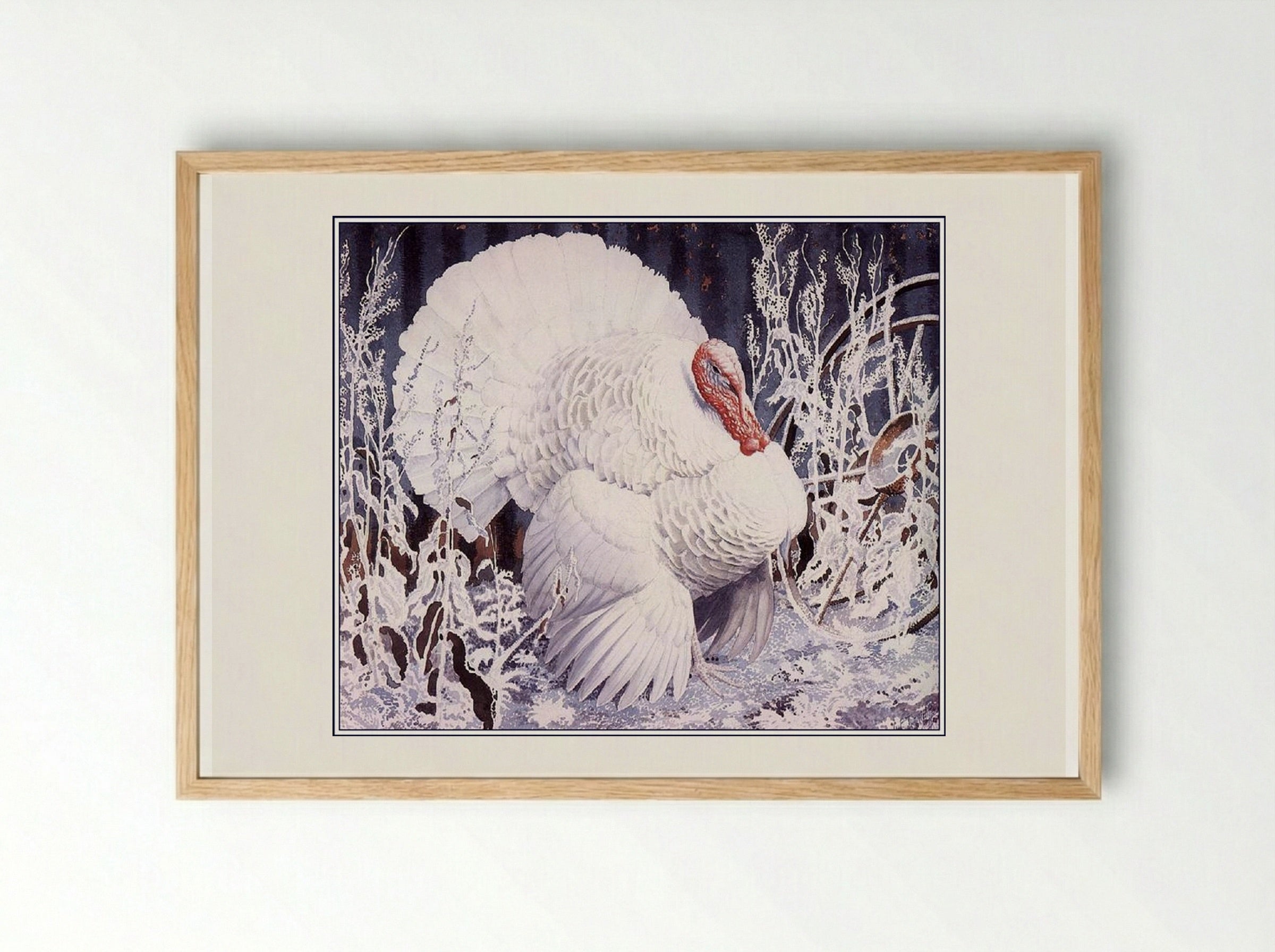 White Turkey - Charles Tunnicliffe - Framed Print Wood