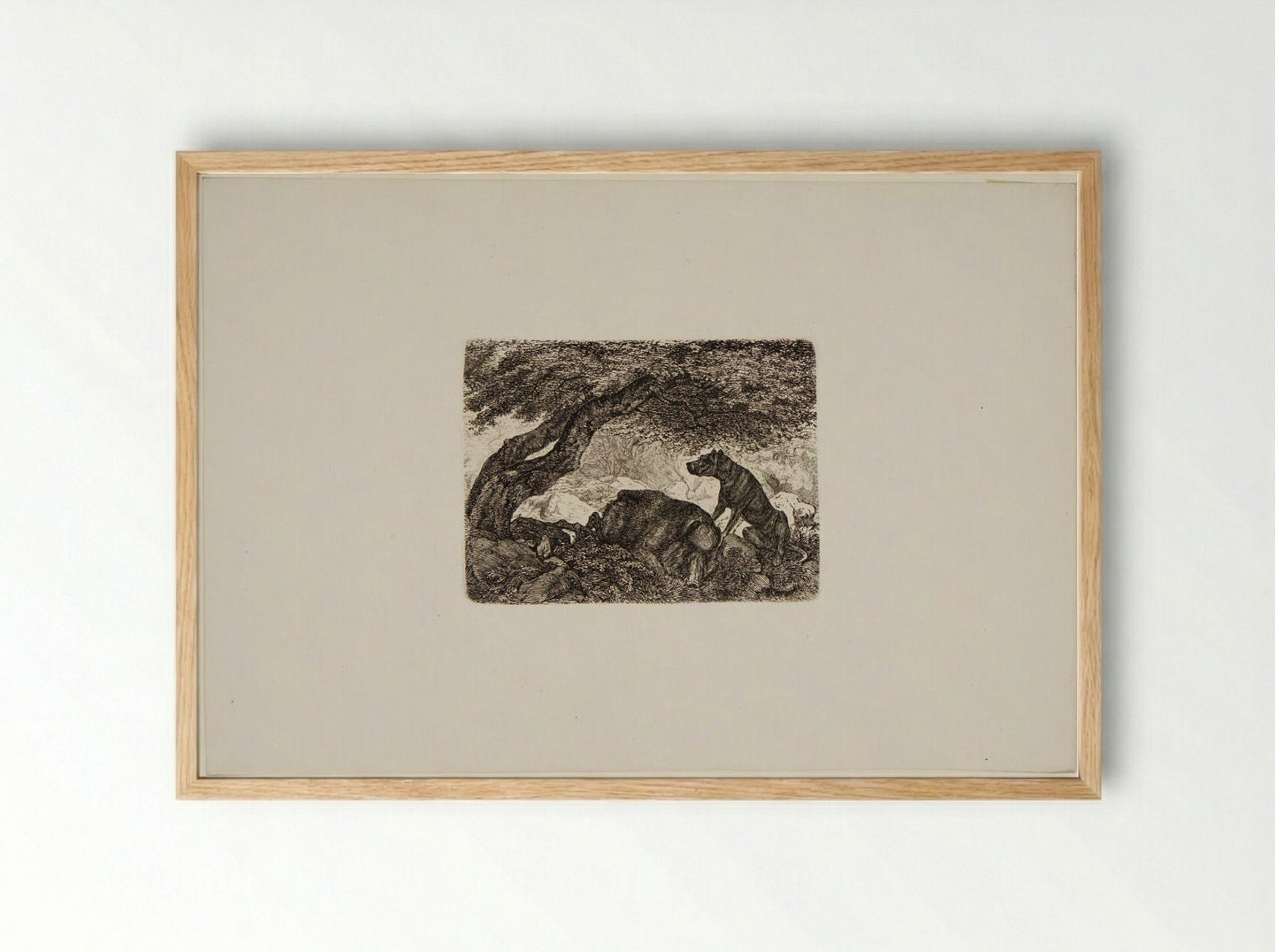 Wild Boar and Dog - Friedrich Anton Wolff - Framed Print Wood