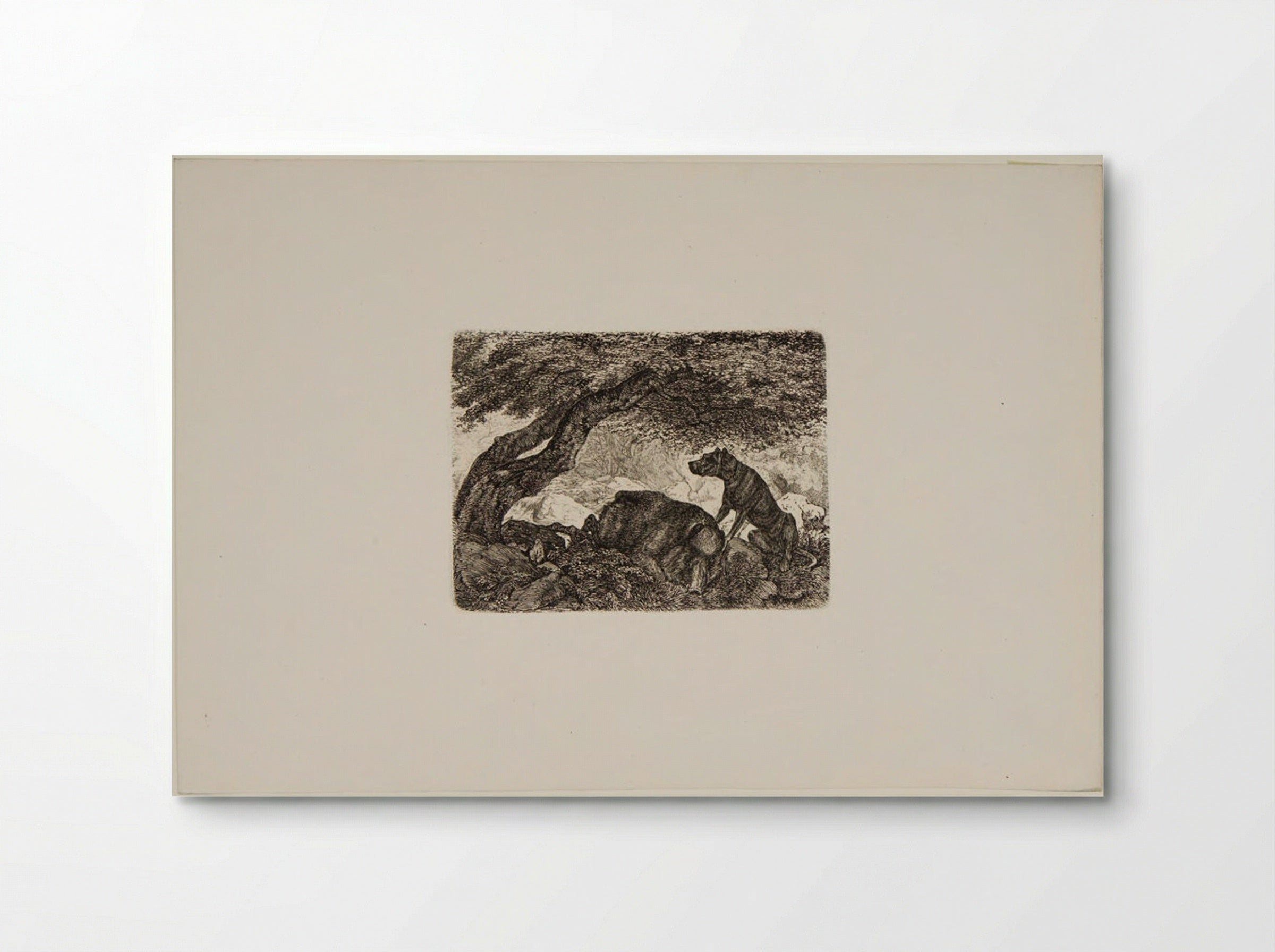 Wild Boar and Dog - Friedrich Anton Wolff - Poster