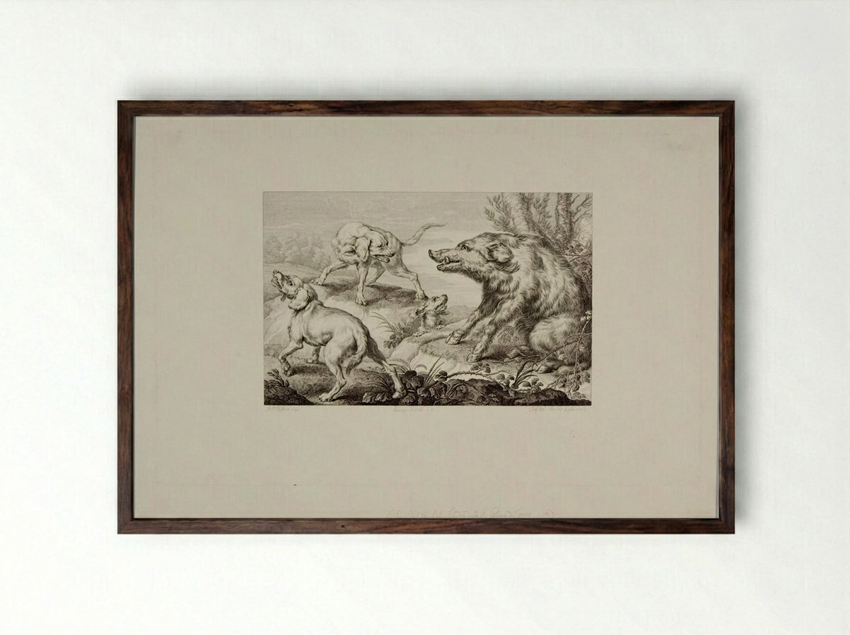 Wild Boar at Bay, With Three Dogs - Giovanni Paolo Lasinio - Framed Print Dark Wood