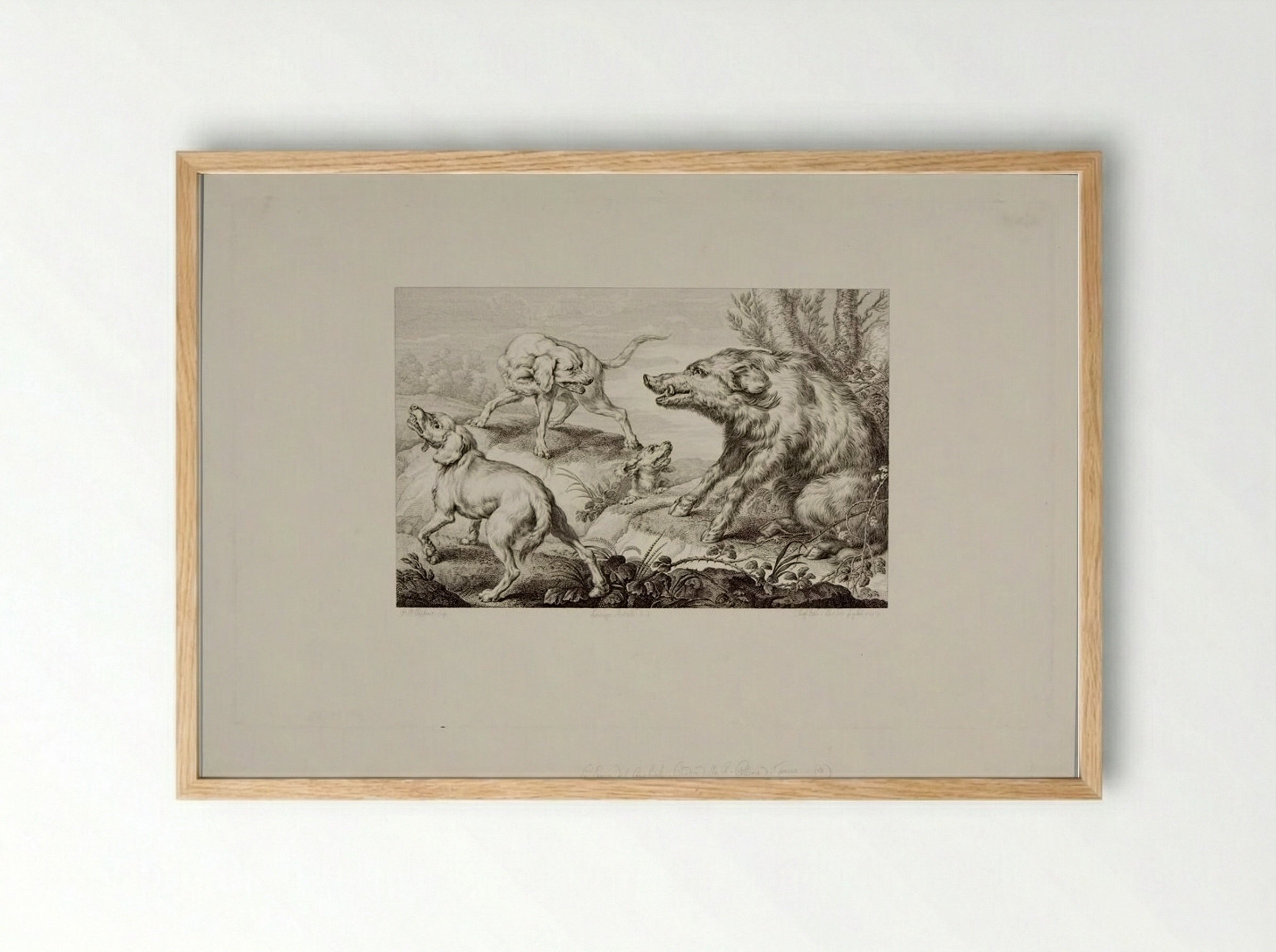 Wild Boar at Bay, With Three Dogs - Giovanni Paolo Lasinio - Framed Print Wood