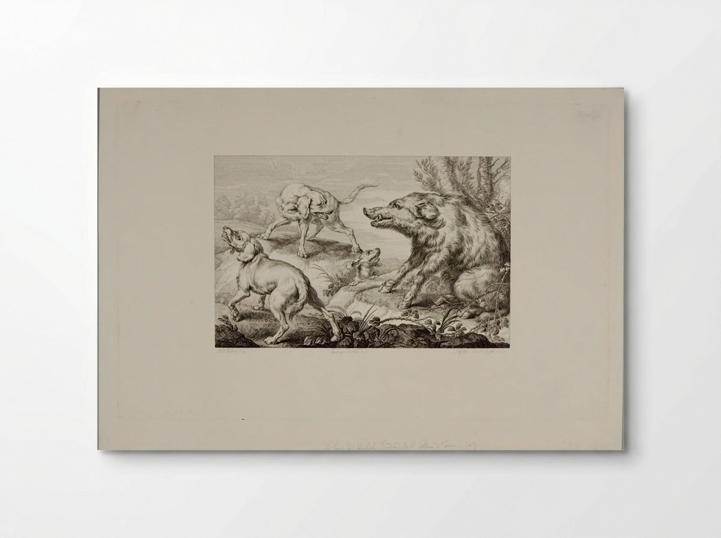 Wild Boar at Bay, With Three Dogs - Giovanni Paolo Lasinio - Poster