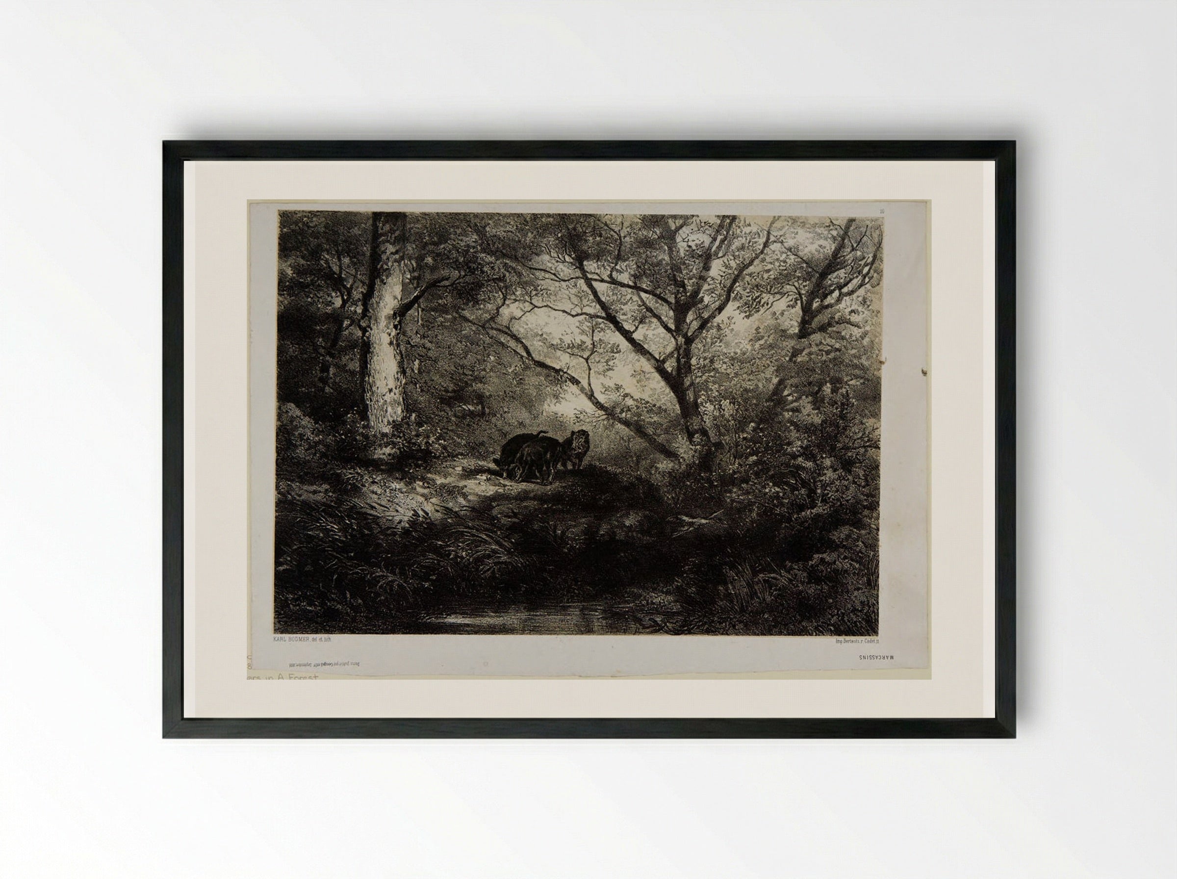 Wild Boars in a Forest - Karl Bodmer - Framed Print Black