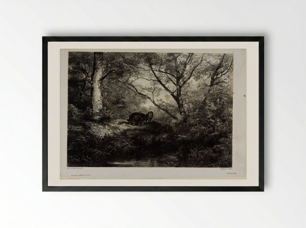 Wild Boars in a Forest - Karl Bodmer - Framed Print Black