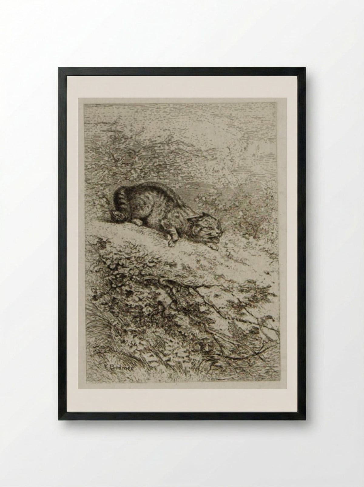 Wildcat - Karl Bodmer - Framed Print Black