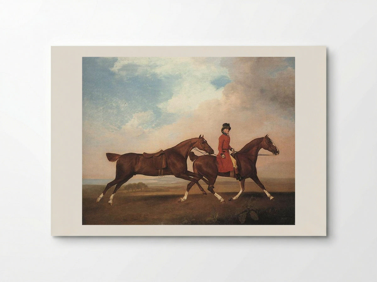 William Anderson with two saddle-horses - George Stubbs - Poster