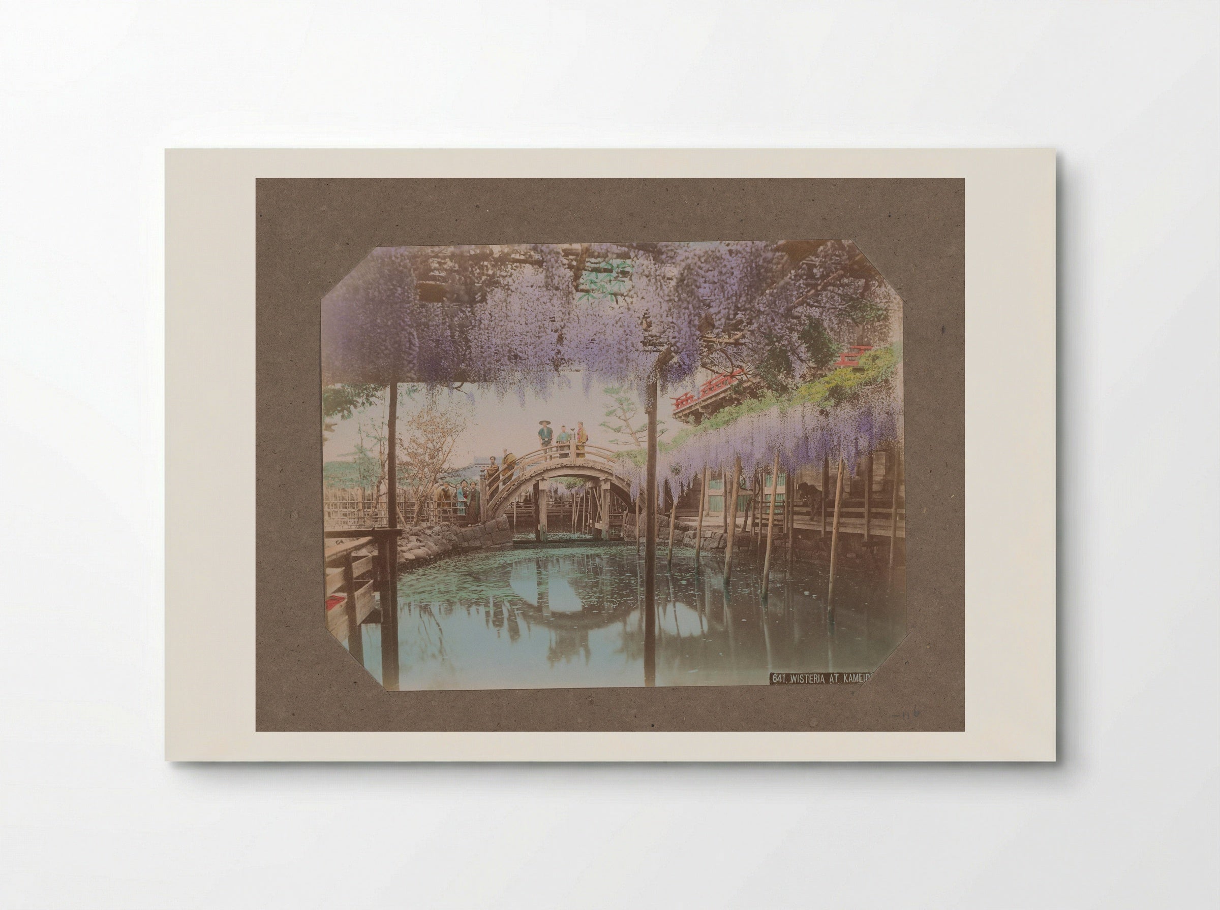 Wisteria at Kameido - Kusakabe Kimbei - Poster