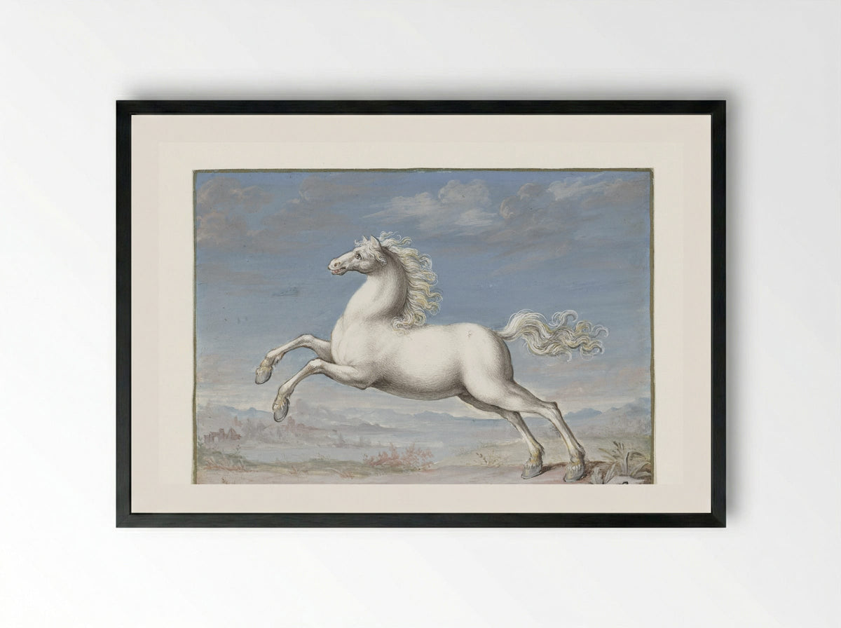Wit paard (White Horse) - Joris Hoefnagel - Framed Print Black