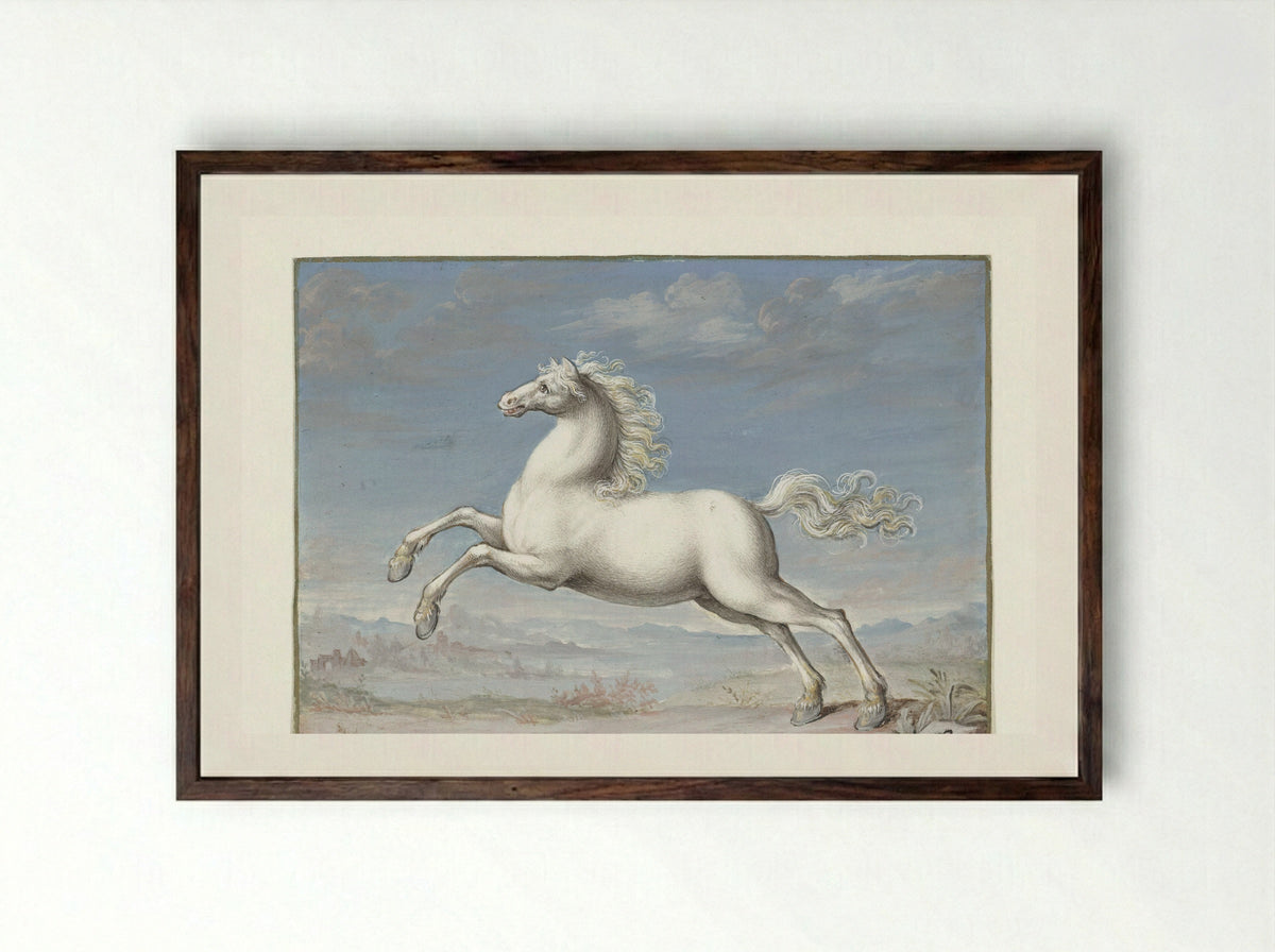 Wit paard (White Horse) - Joris Hoefnagel - Framed Print Dark Wood