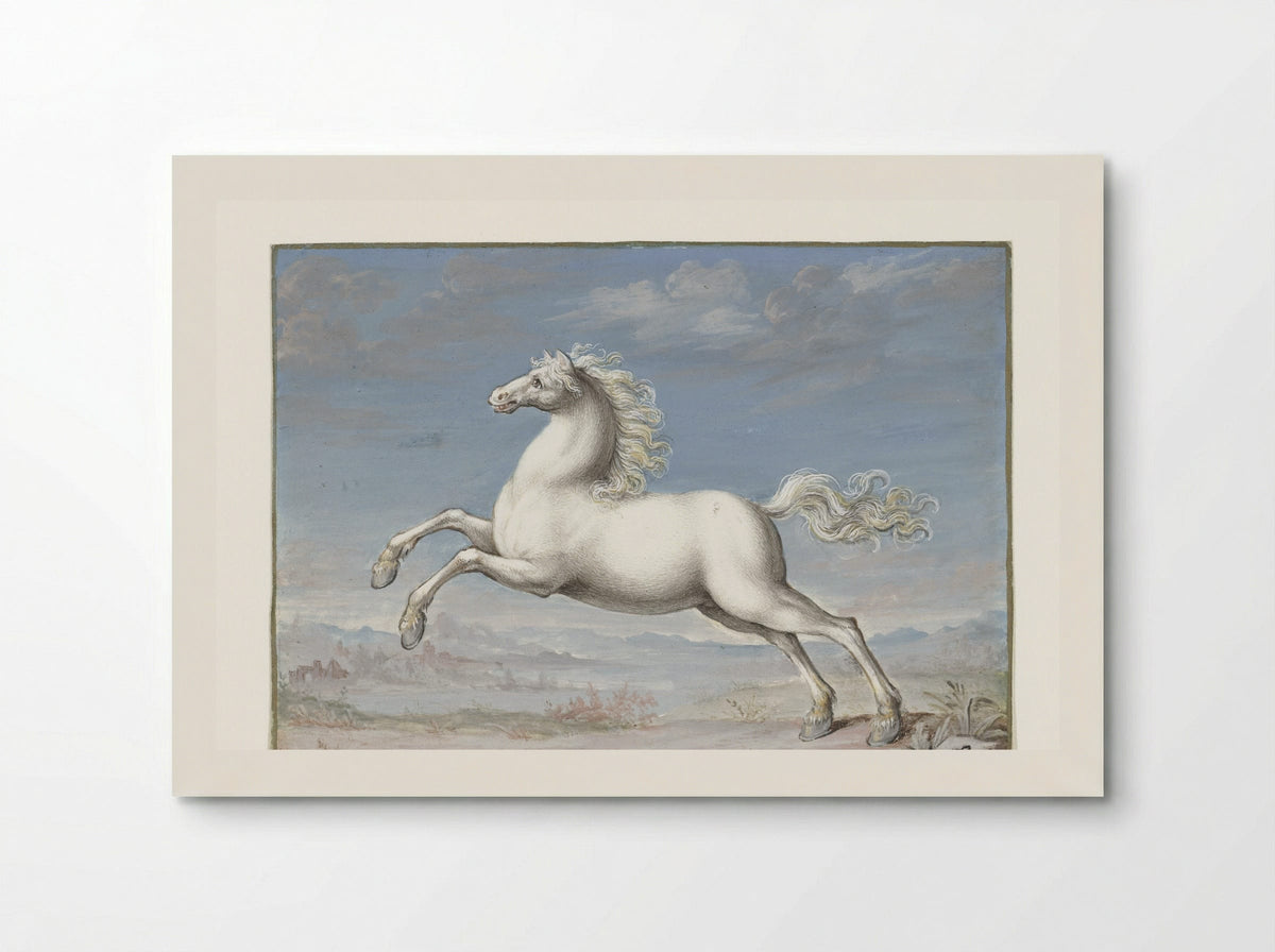 Wit paard (White Horse) - Joris Hoefnagel - Poster