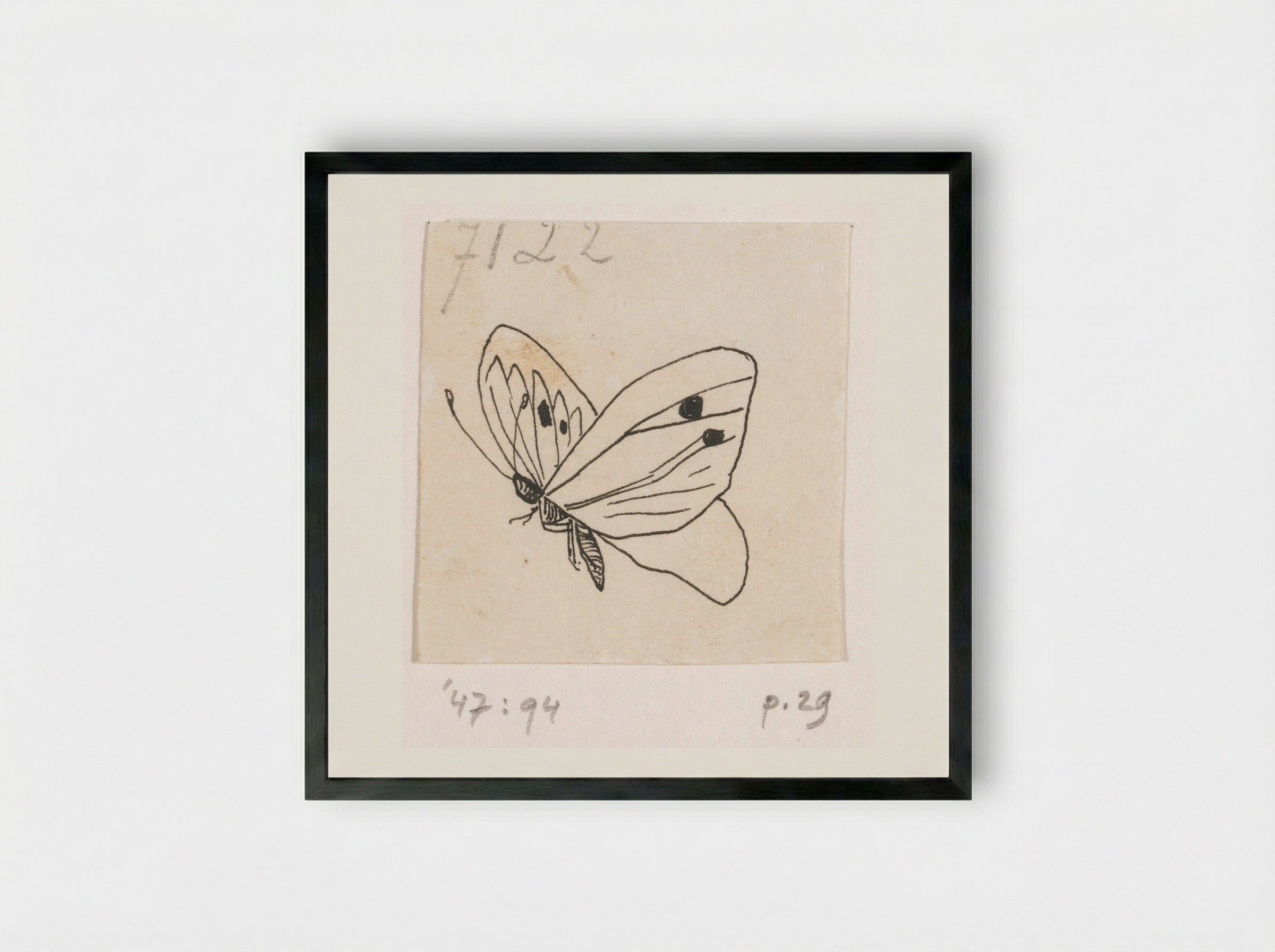 Witje (Study of a Butterfly) - Willem Wenckebach - Framed Print Black