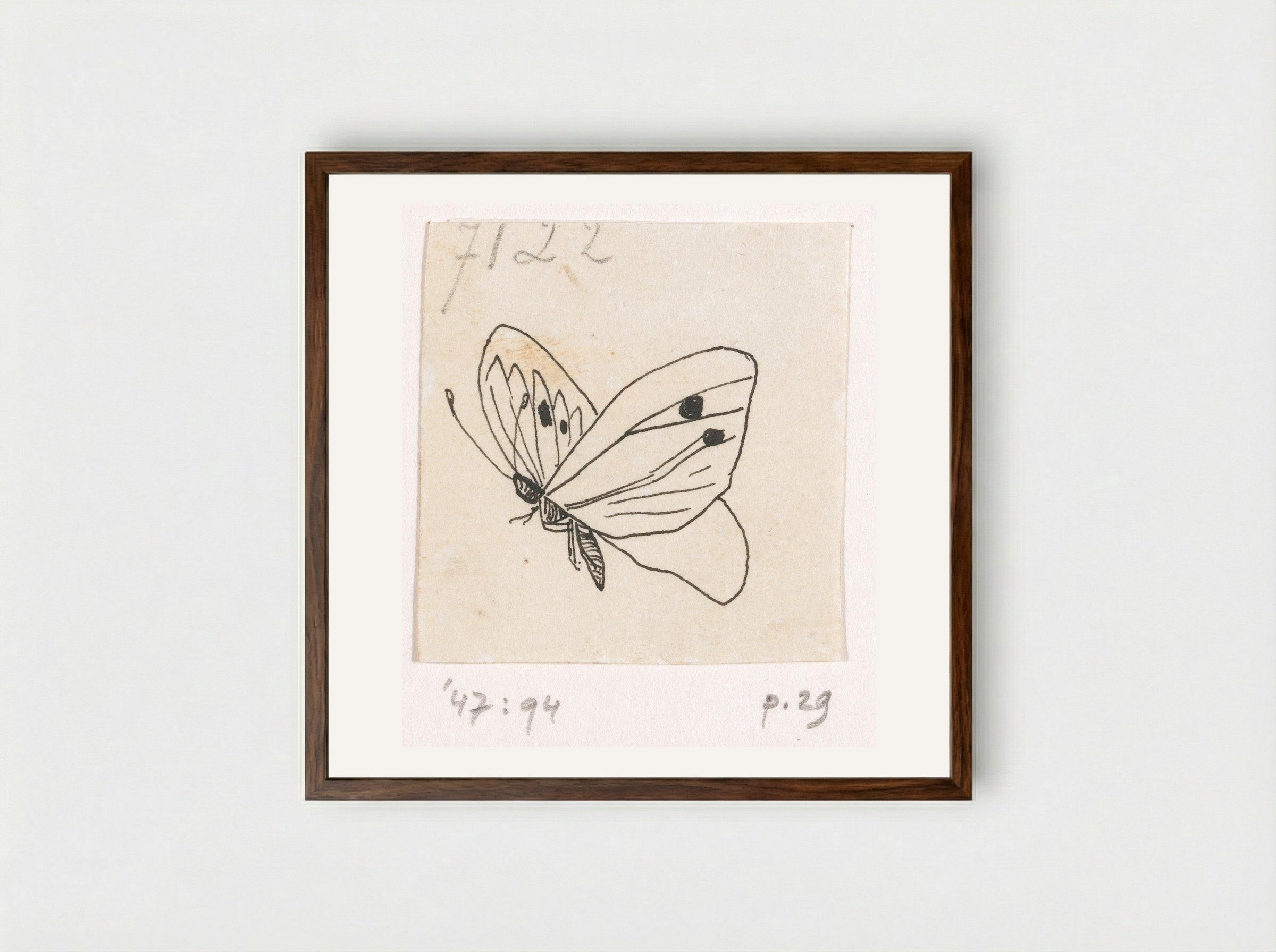 Witje (Study of a Butterfly) - Willem Wenckebach - Framed Print Dark Wood