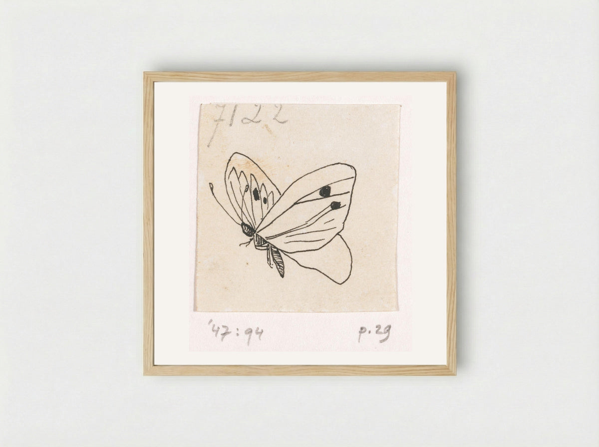 Witje (Study of a Butterfly) - Willem Wenckebach - Framed Print Wood