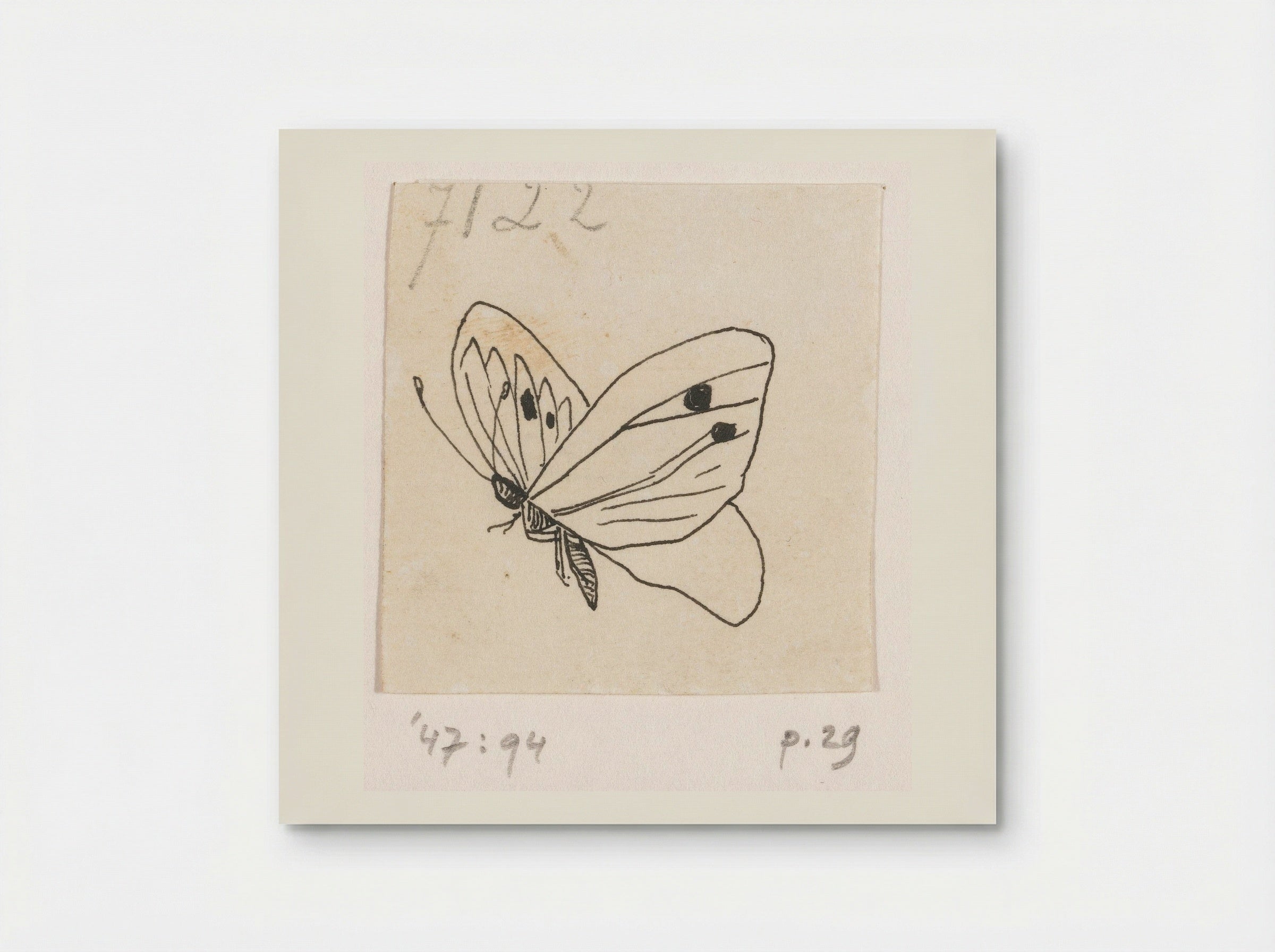 Witje (Study of a Butterfly) - Willem Wenckebach - Poster