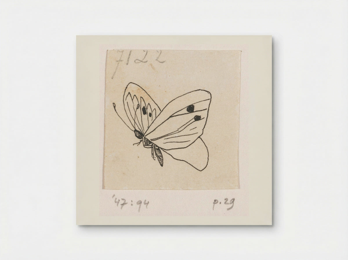 Witje (Study of a Butterfly) - Willem Wenckebach - Poster