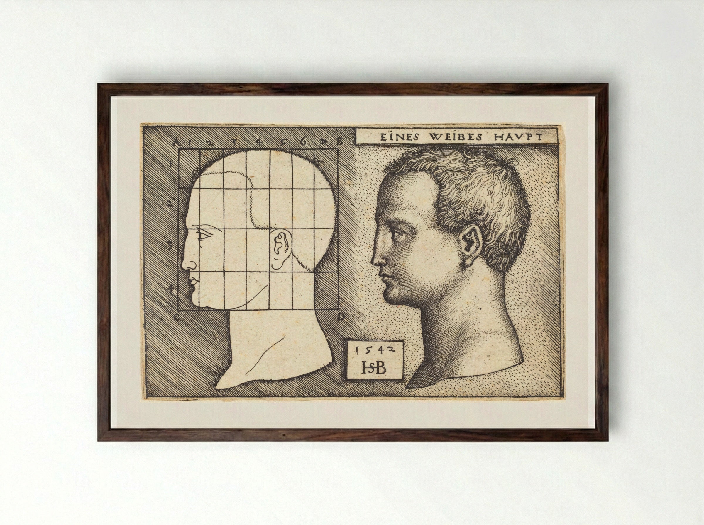Woman's Head (Eines Weibes Havpt) - Sebald Beham - Framed Print Dark Wood