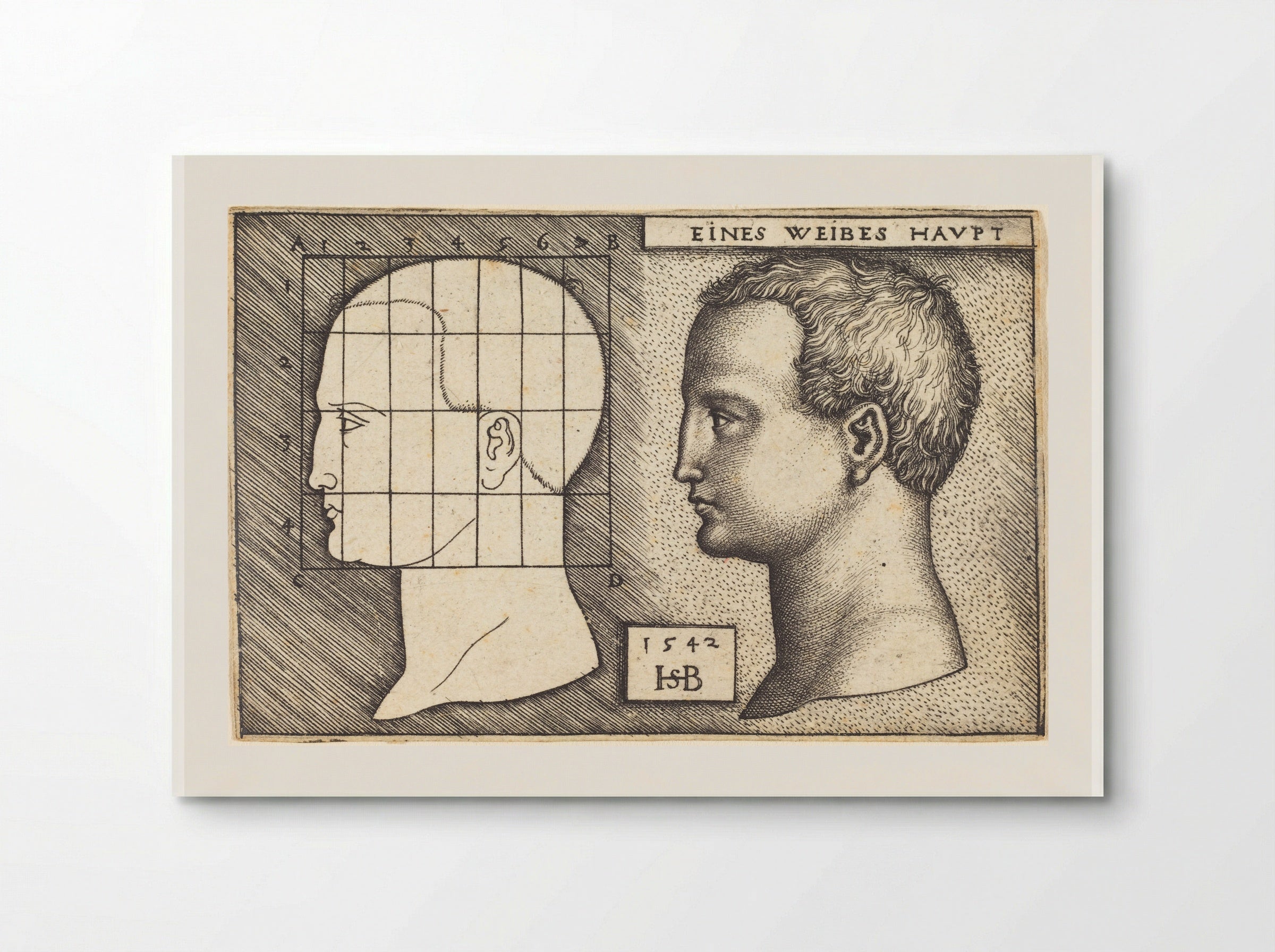 Woman's Head (Eines Weibes Havpt) - Sebald Beham - Poster
