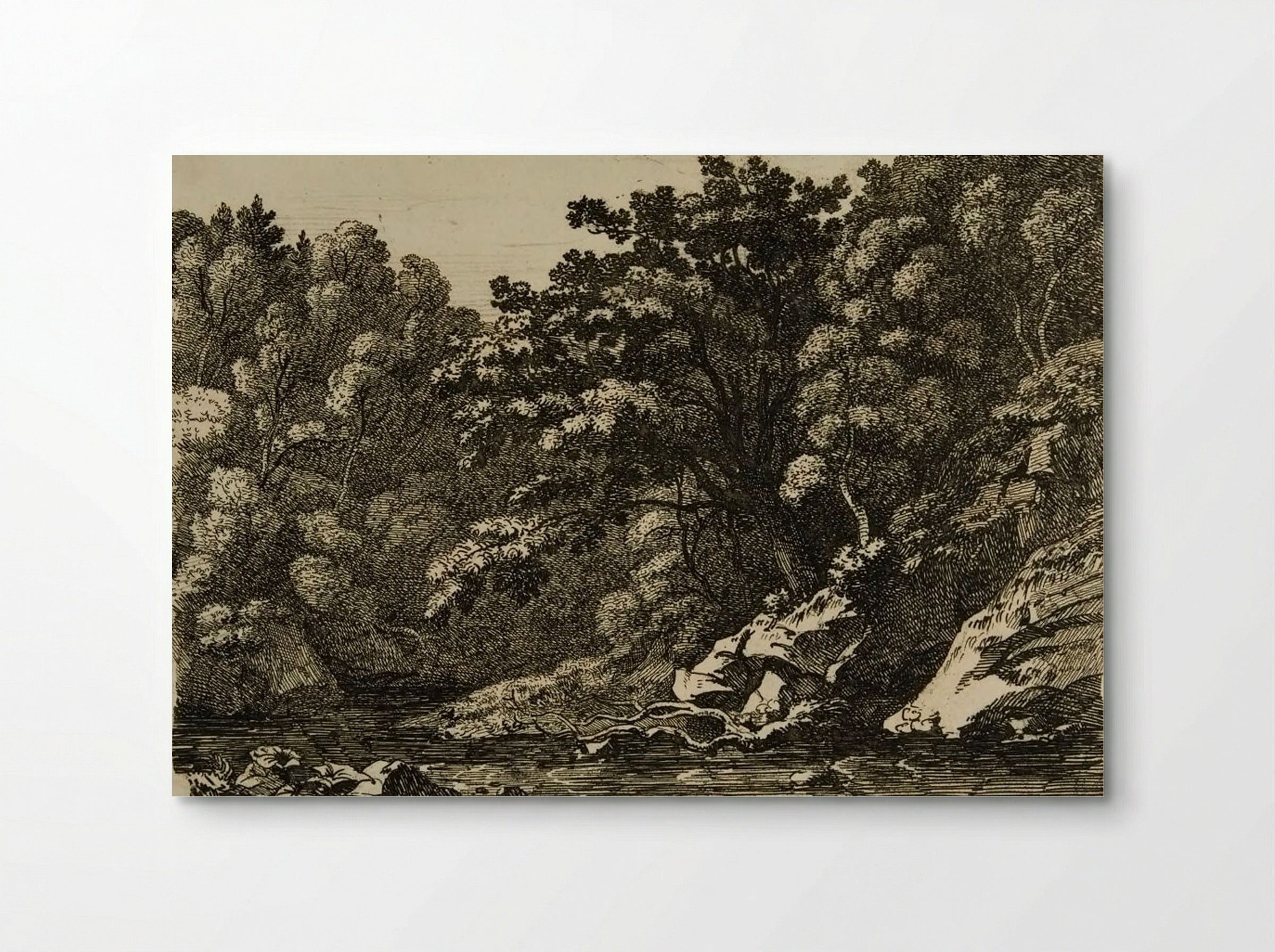 Wooded Landscape with Stream - Hugh William Williams - Poster