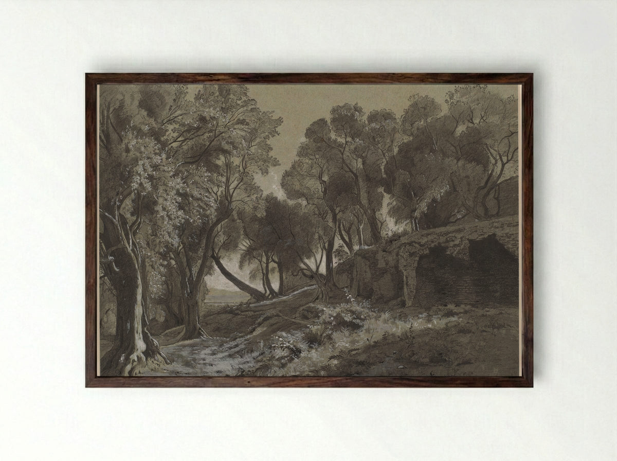 Wooded Landscape - François-Louis Français - Framed Print Dark Wood