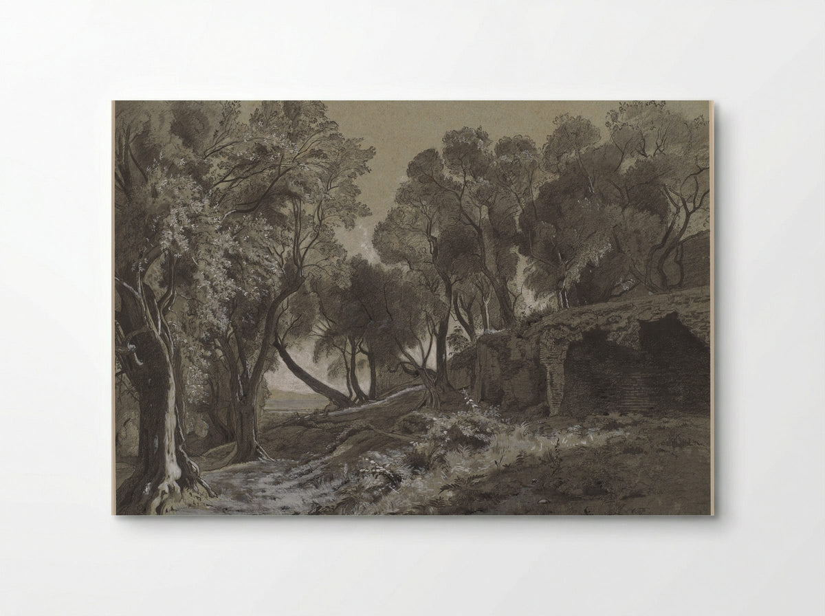 Wooded Landscape - François-Louis Français - Poster