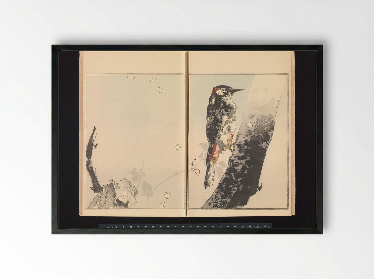 Woodpecker on Tree Trunk - Watanabe Seitei - Framed Print Black