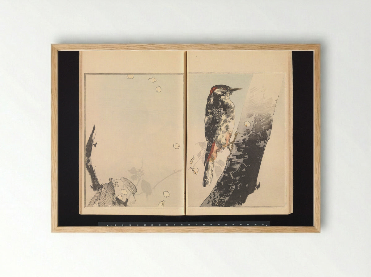 Woodpecker on Tree Trunk - Watanabe Seitei - Framed Print Wood