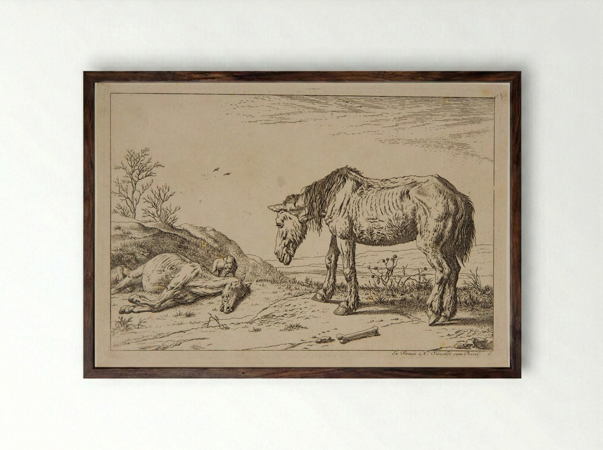 Worn-out Horse - Paulus Potter - Framed Print Dark Wood