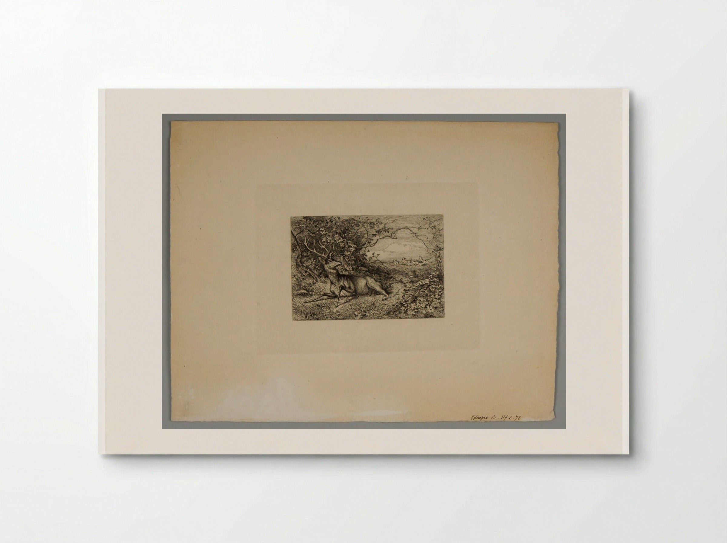 Wounded Stag Chased by Hounds - Karl Bodmer - Poster