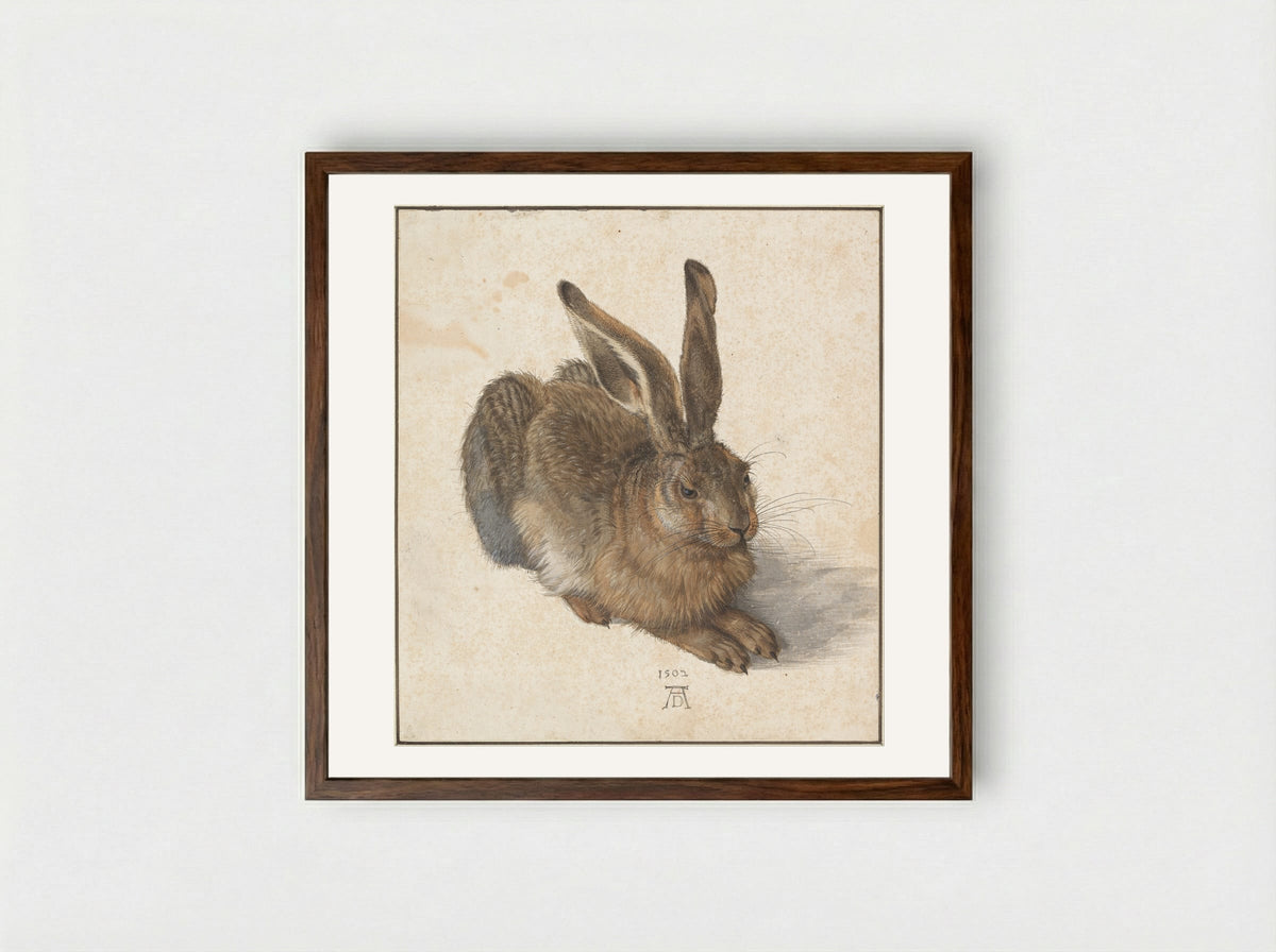 Young Hare - Albrecht Dürer - Framed Print Dark Wood