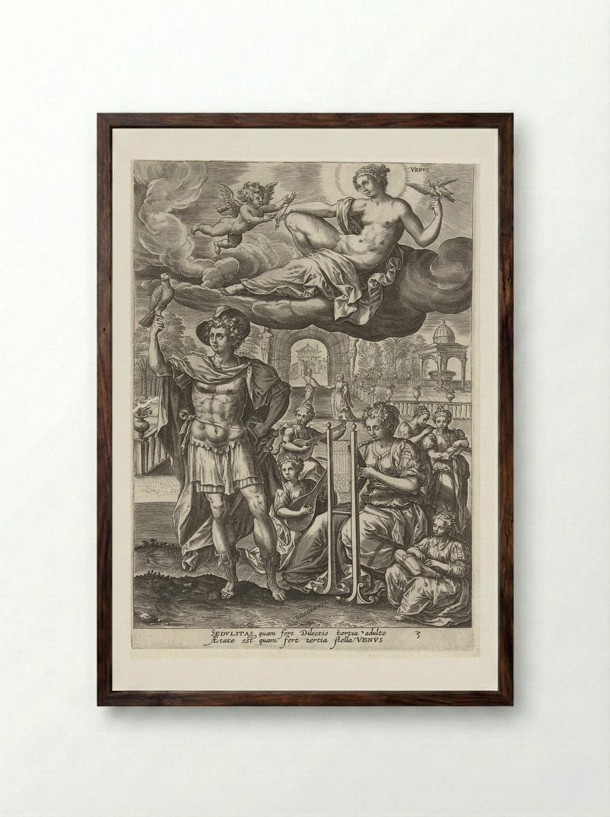 Youth Under the Influence of Venus - Gerard de Jode - Framed Print Dark Wood