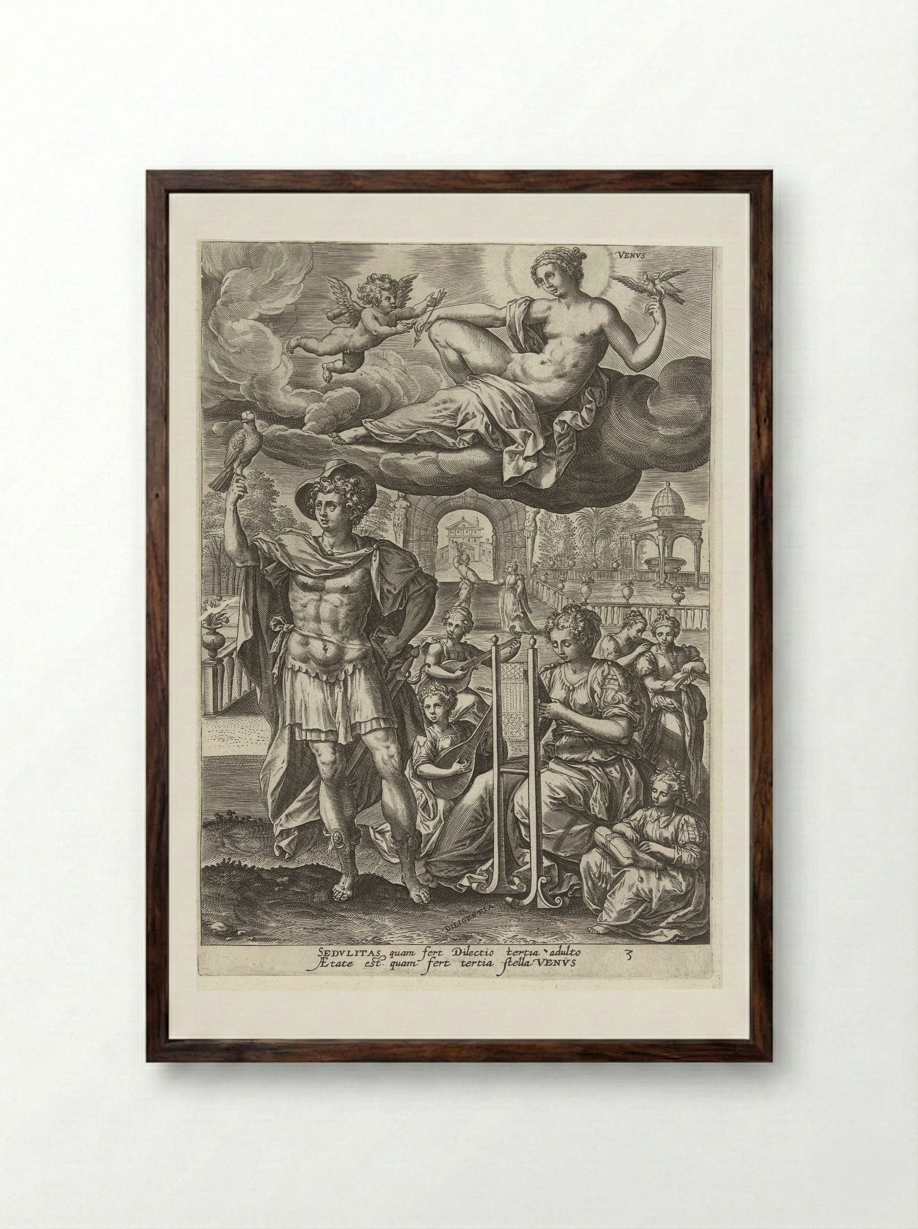 Youth Under the Influence of Venus - Gerard de Jode - Framed Print Dark Wood