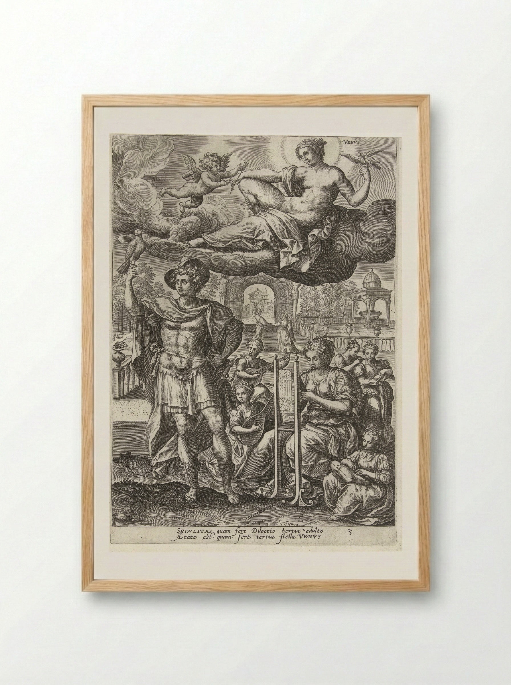 Youth Under the Influence of Venus - Gerard de Jode - Framed Print Wood