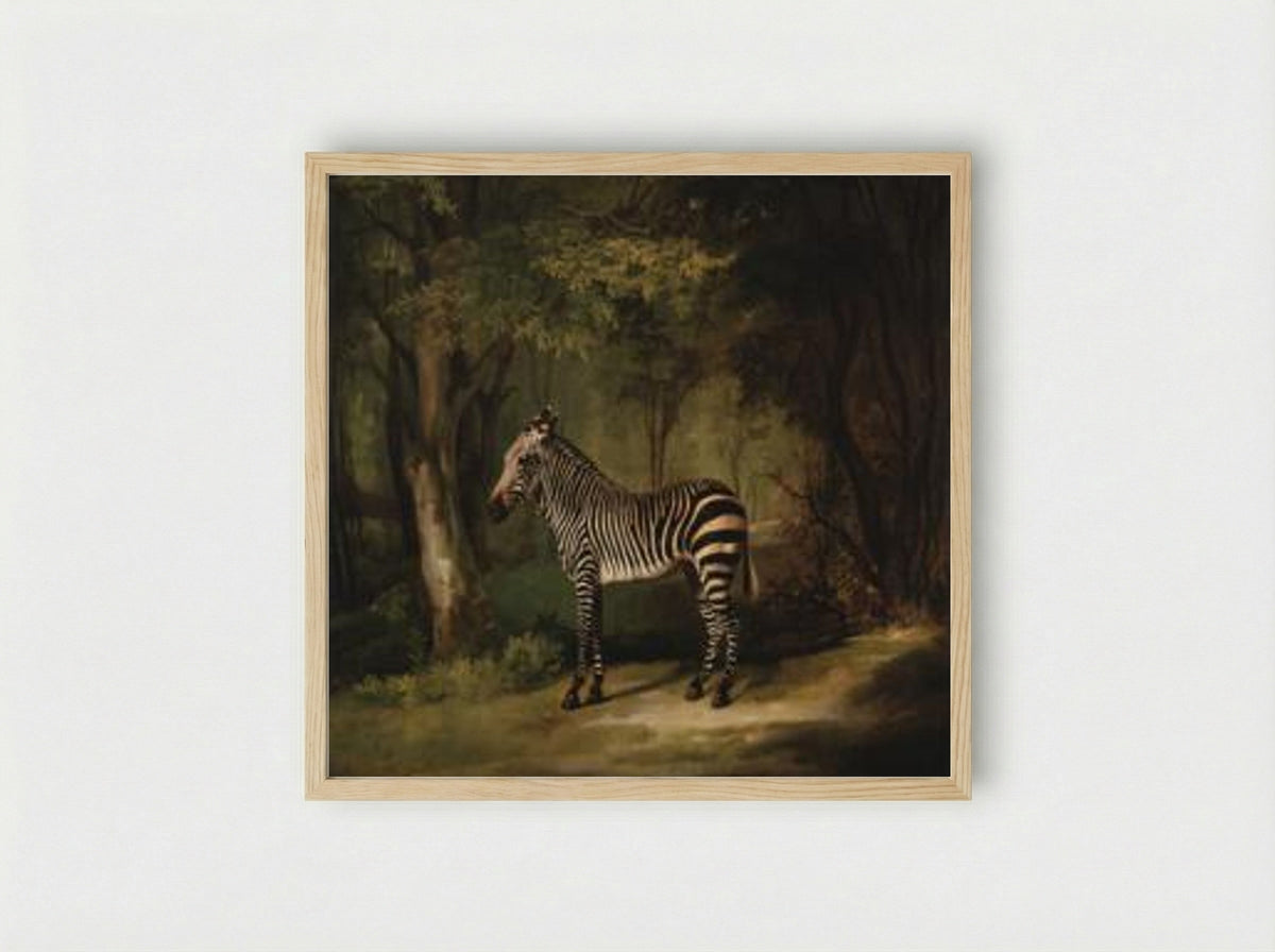 Zebra - George Stubbs - Framed Print Wood