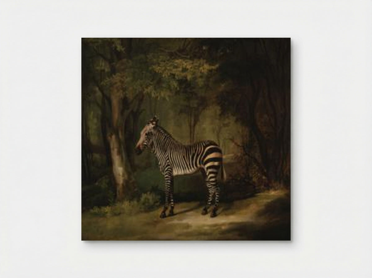 Zebra - George Stubbs - Poster