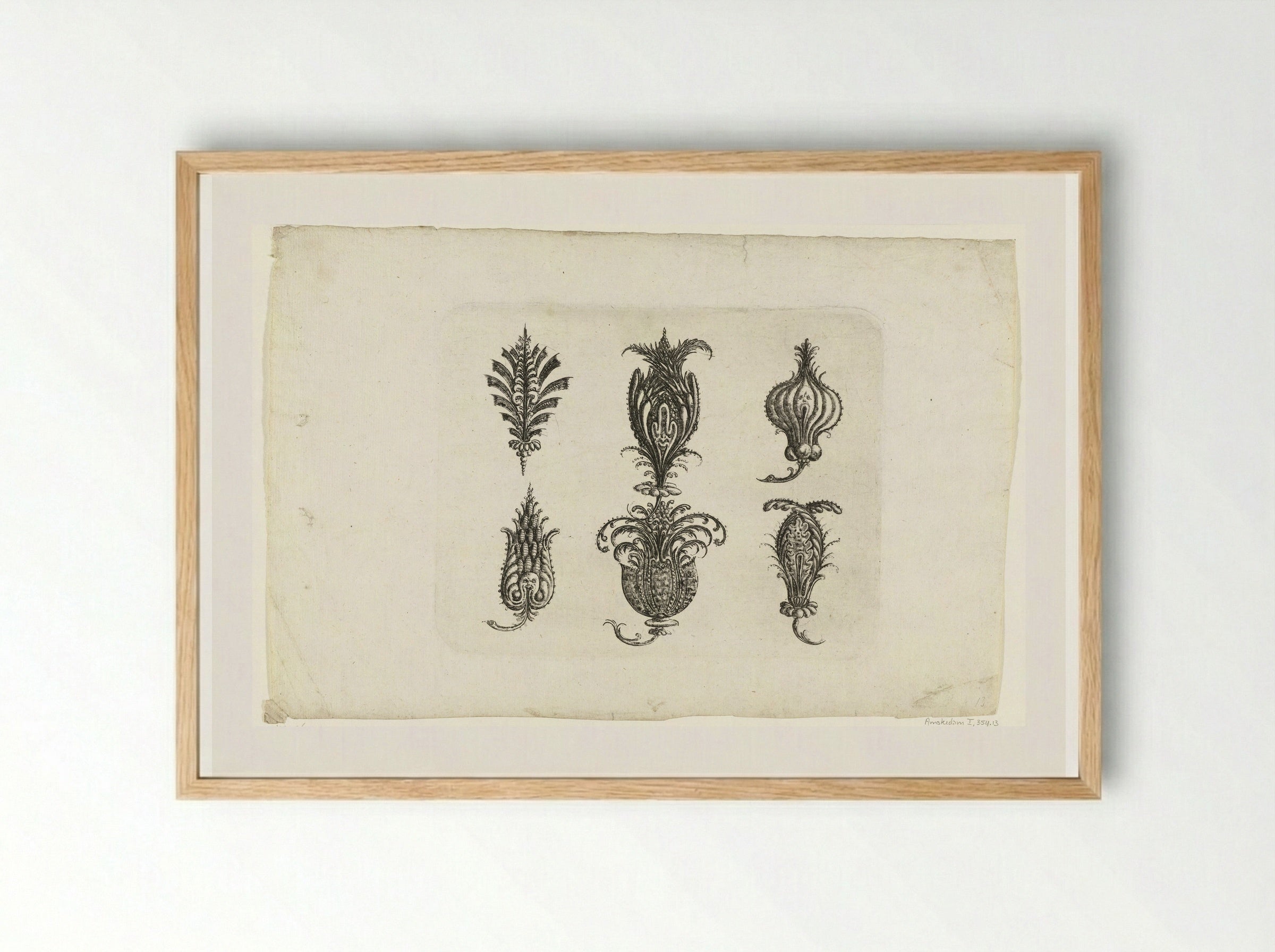 Zes fantasie-vruchten - Christoph Jamnitzer - Framed Print Wood