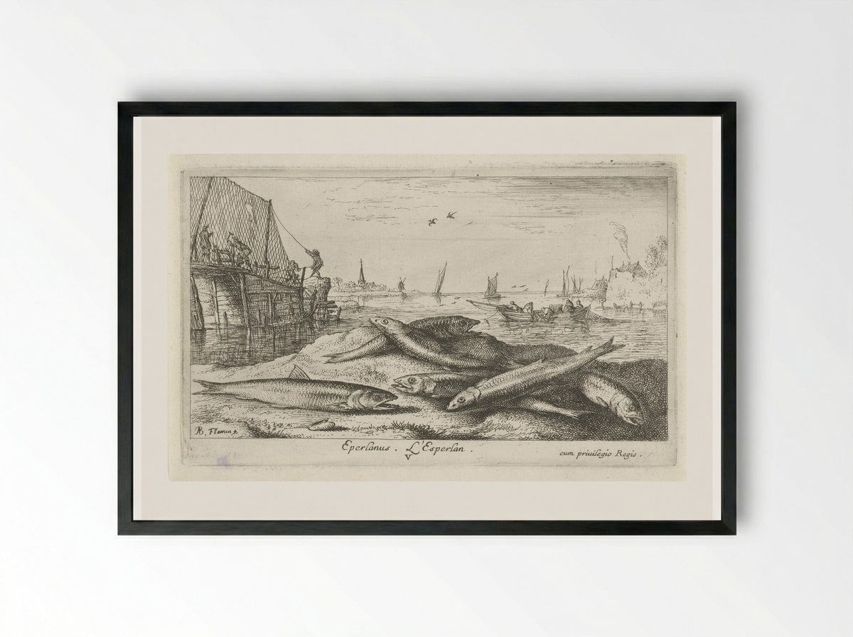 Zes spieringen op het strand - Jacques van Merlen - Framed Print Black