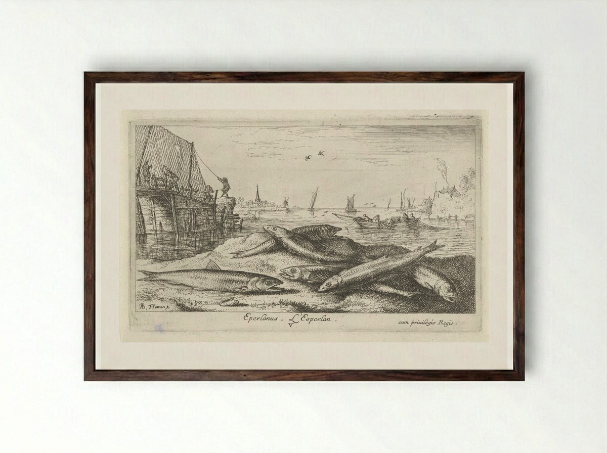 Zes spieringen op het strand - Jacques van Merlen - Framed Print Dark Wood
