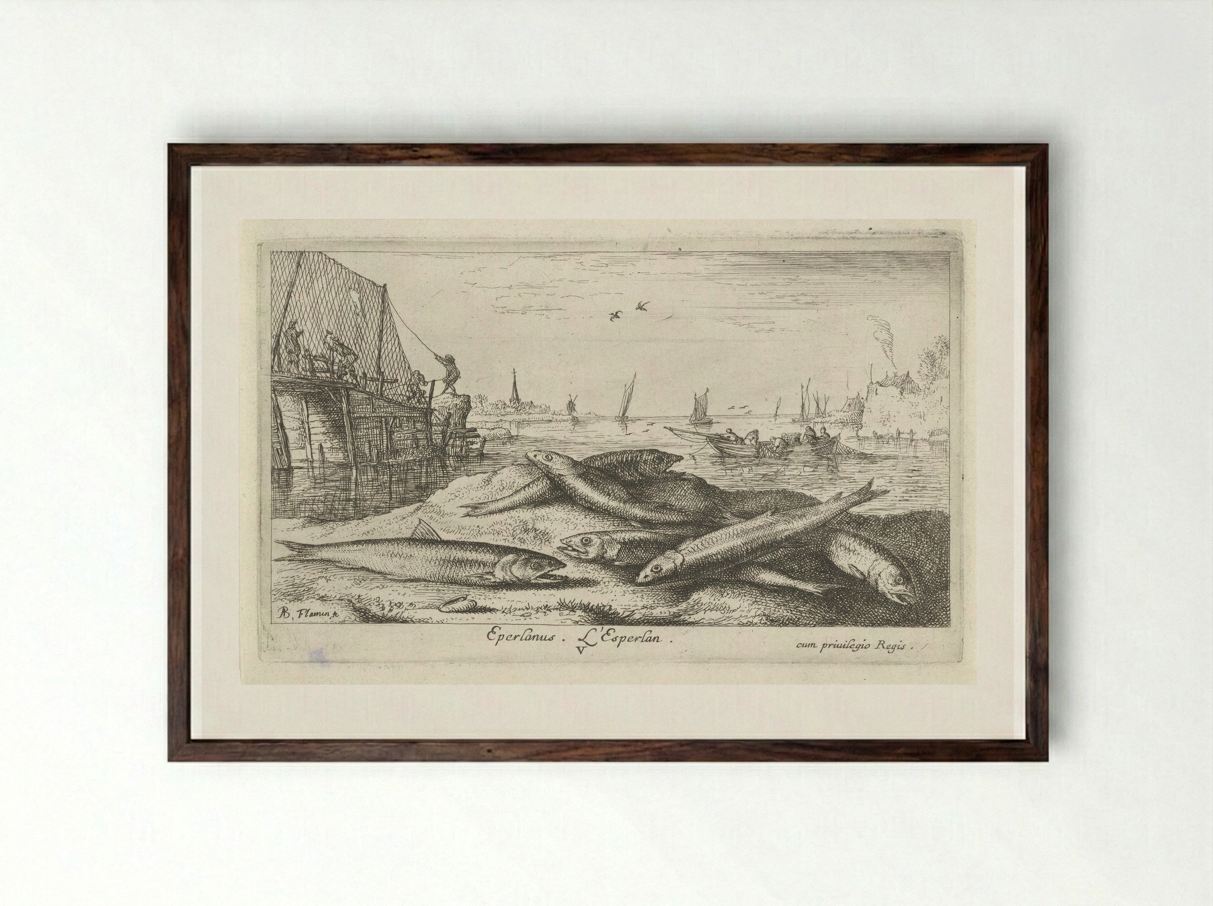 Zes spieringen op het strand - Jacques van Merlen - Framed Print Dark Wood