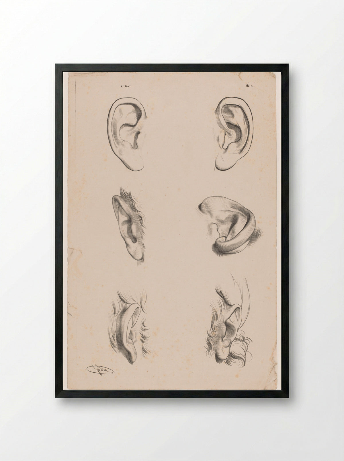 Zes studies van oren in verschillende tekenstadia - Aubert & Cie. - Framed Print Black