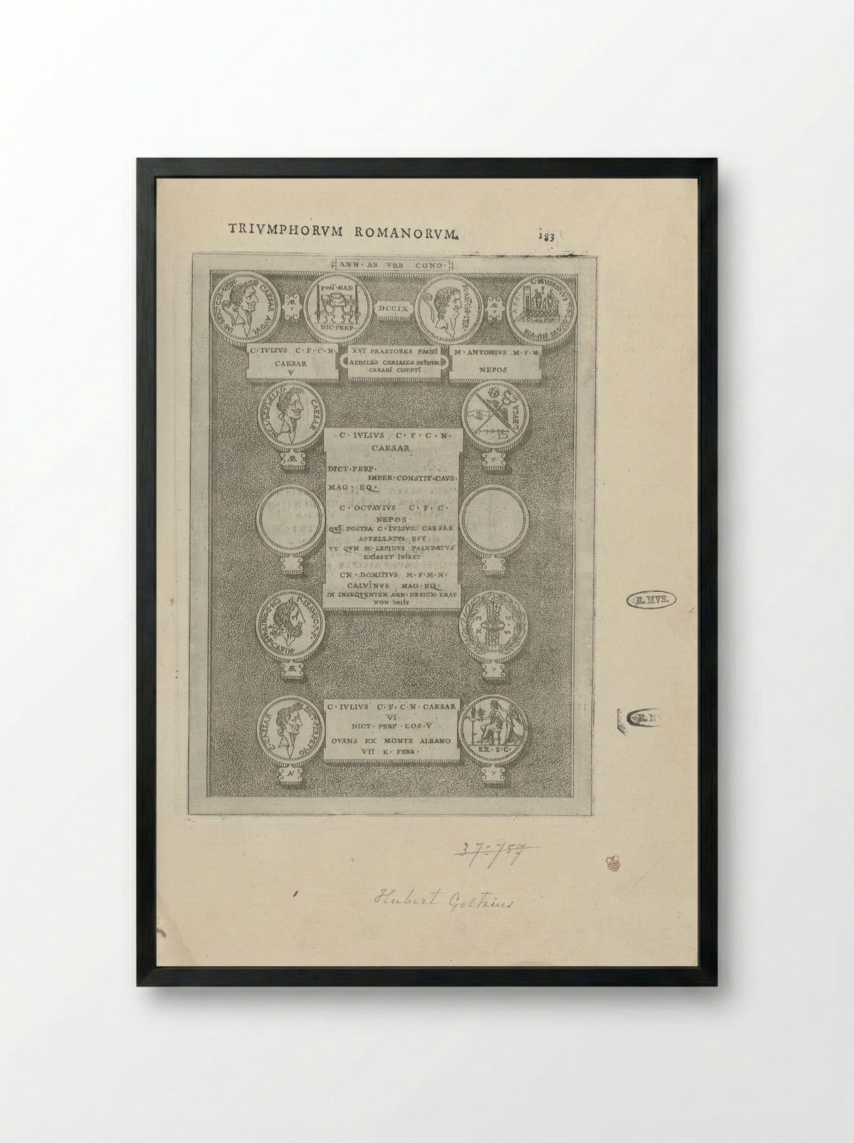 Zeven Romeinse munten - Hubert Goltzius - Framed Print Black
