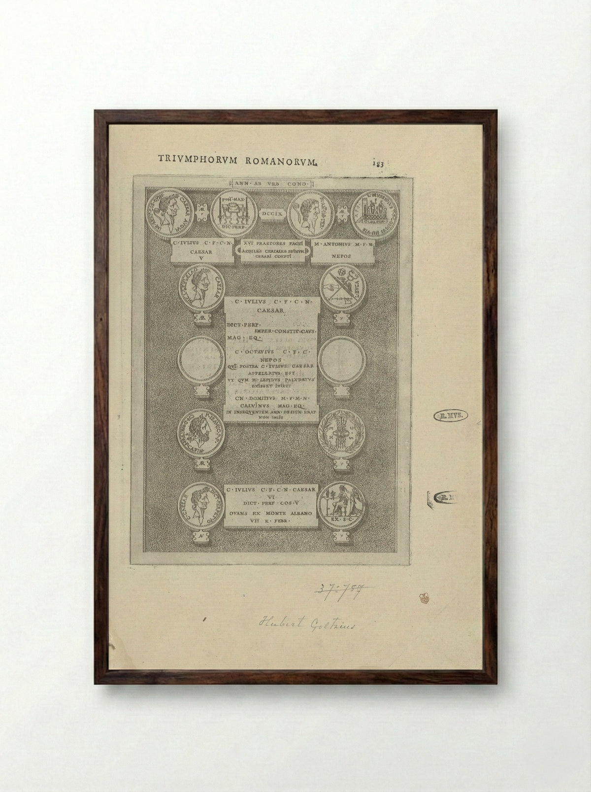 Zeven Romeinse munten - Hubert Goltzius - Framed Print Dark Wood