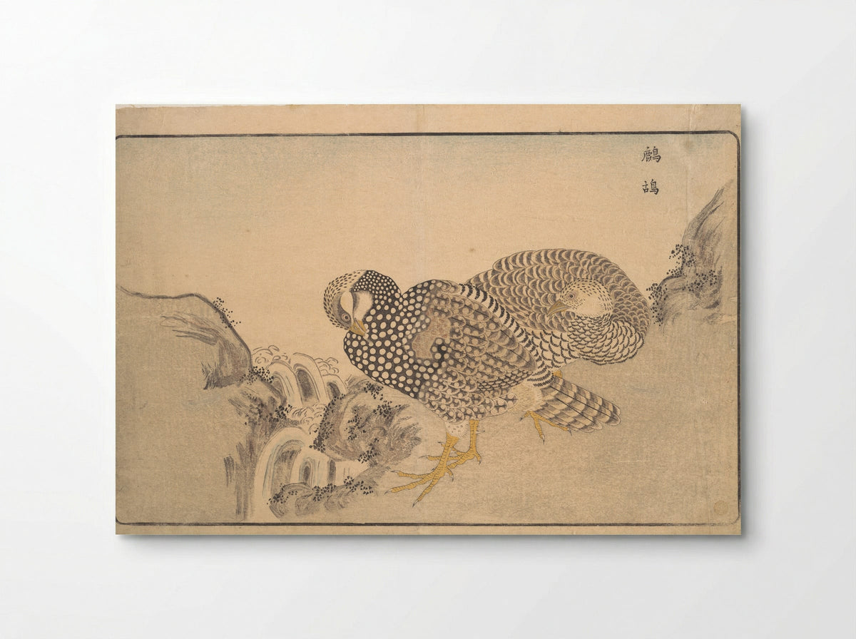 Zhe gu (Partridges) - Kuwagata Keisai - Poster