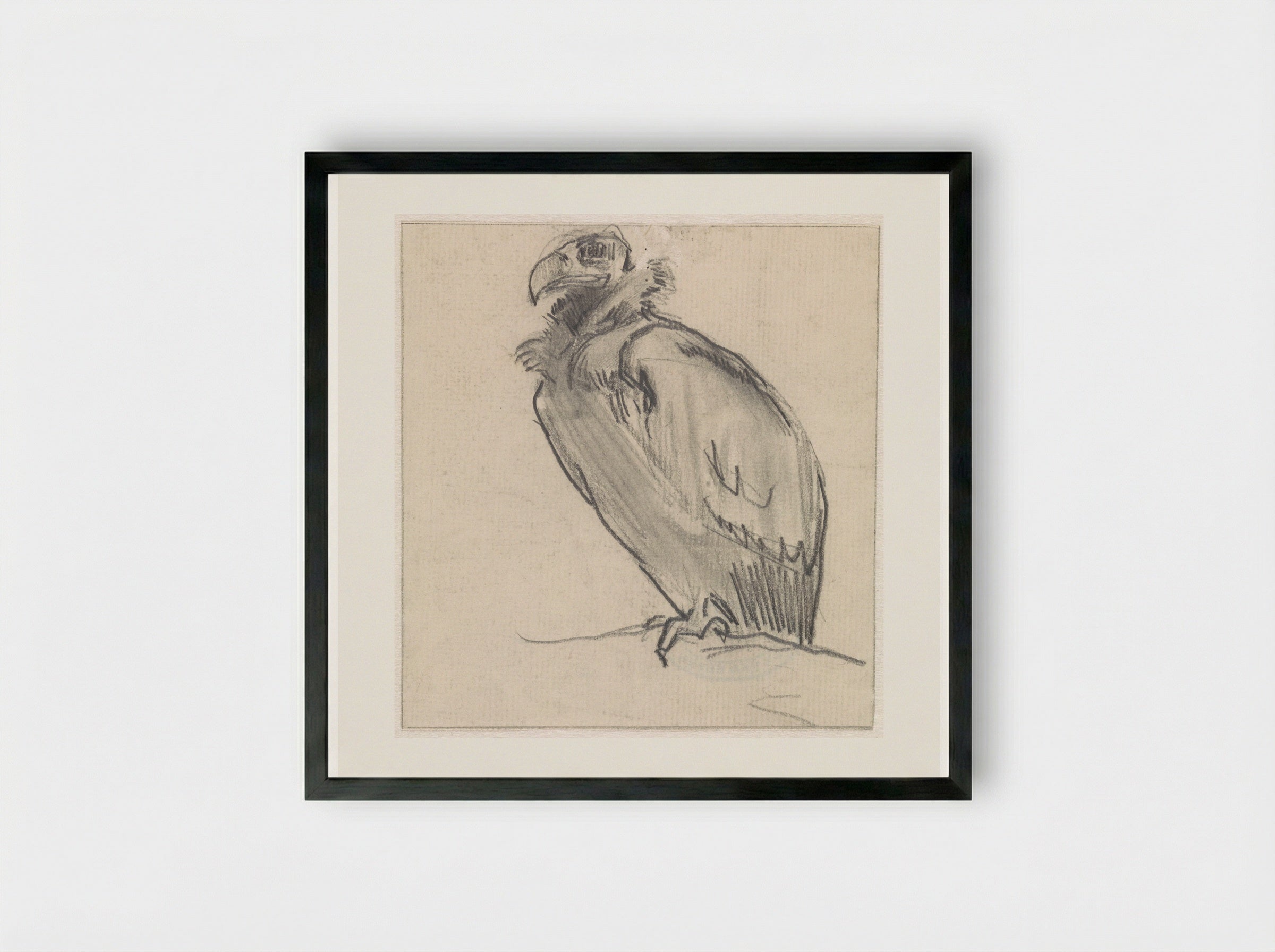 Zittende gier, naar links - Jan van Essen - Framed Print Black
