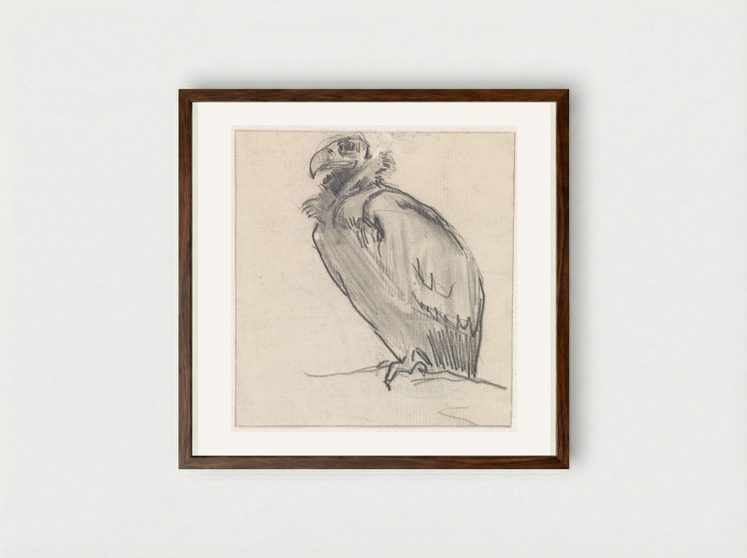 Zittende gier, naar links - Jan van Essen - Framed Print Dark Wood