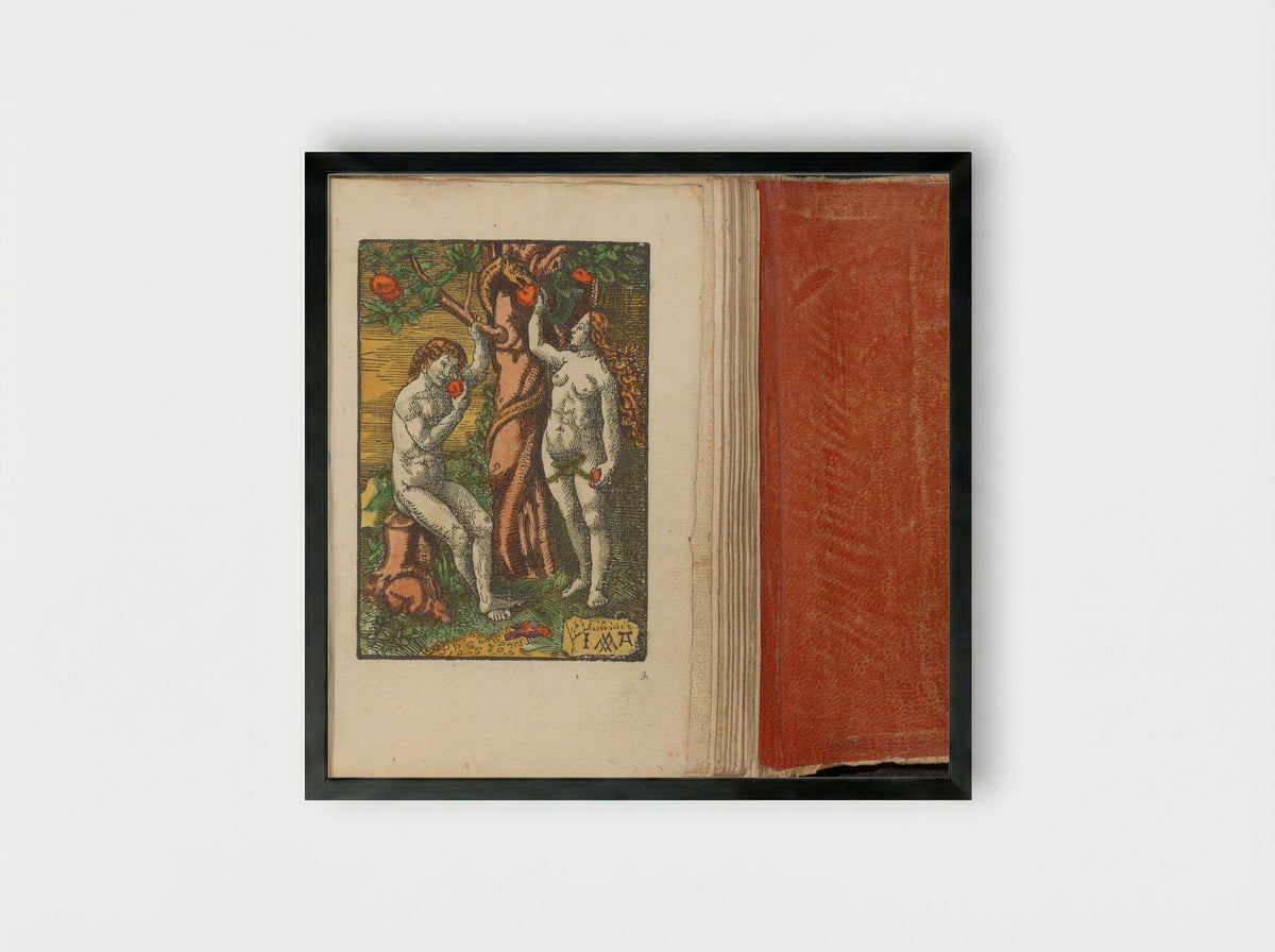 Zondeval (The Fall of Man) - Doen Pietersz. - Framed Print Black