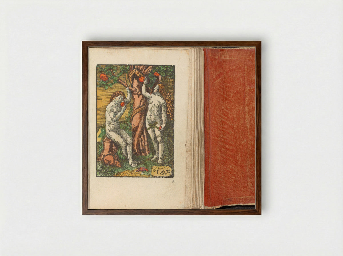 Zondeval (The Fall of Man) - Doen Pietersz. - Framed Print Dark Wood