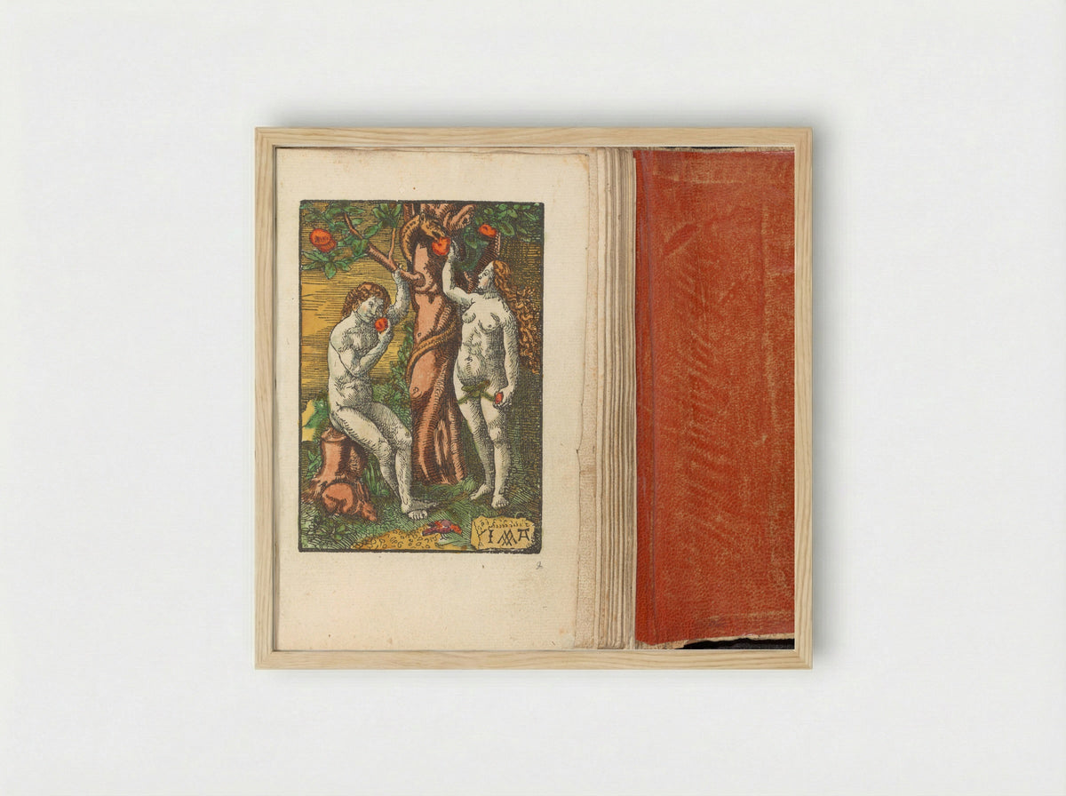 Zondeval (The Fall of Man) - Doen Pietersz. - Framed Print Wood