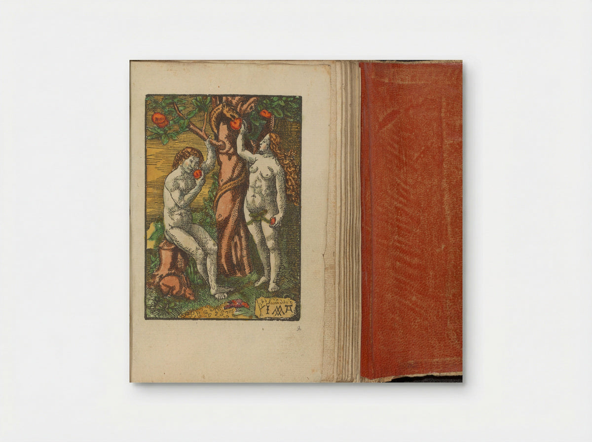Zondeval (The Fall of Man) - Doen Pietersz. - Poster